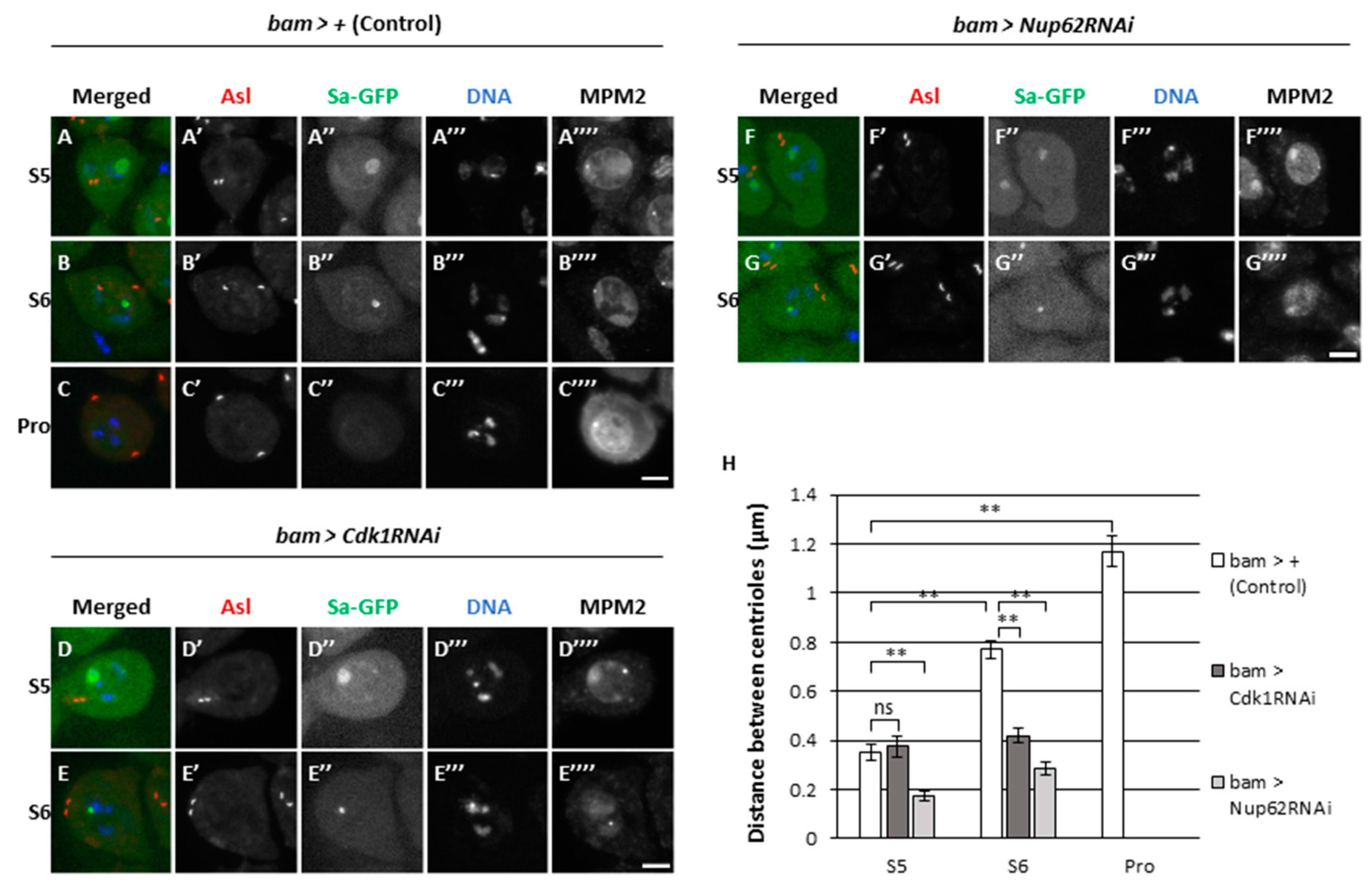 Preprints 87571 g004