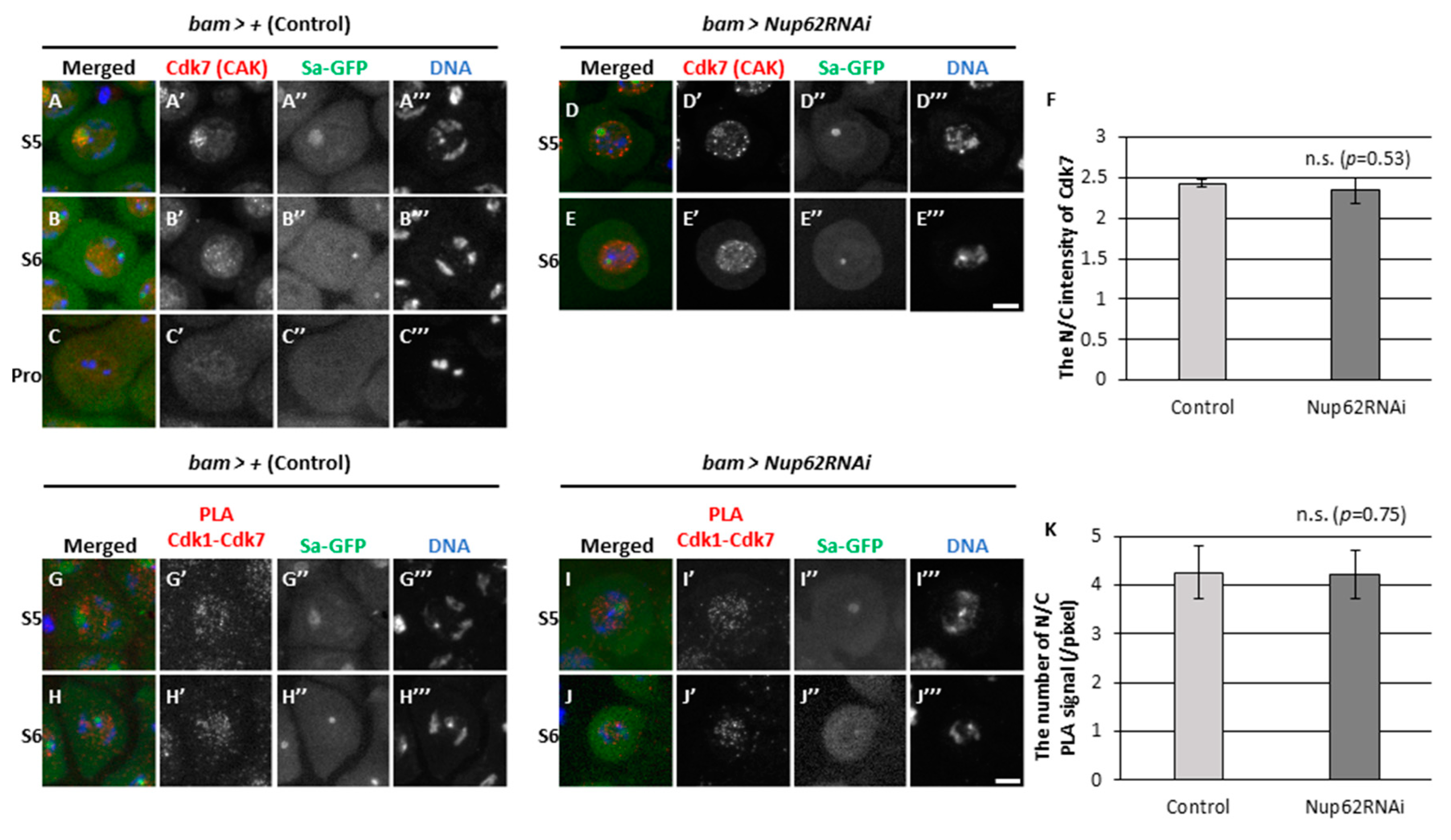 Preprints 87571 g005