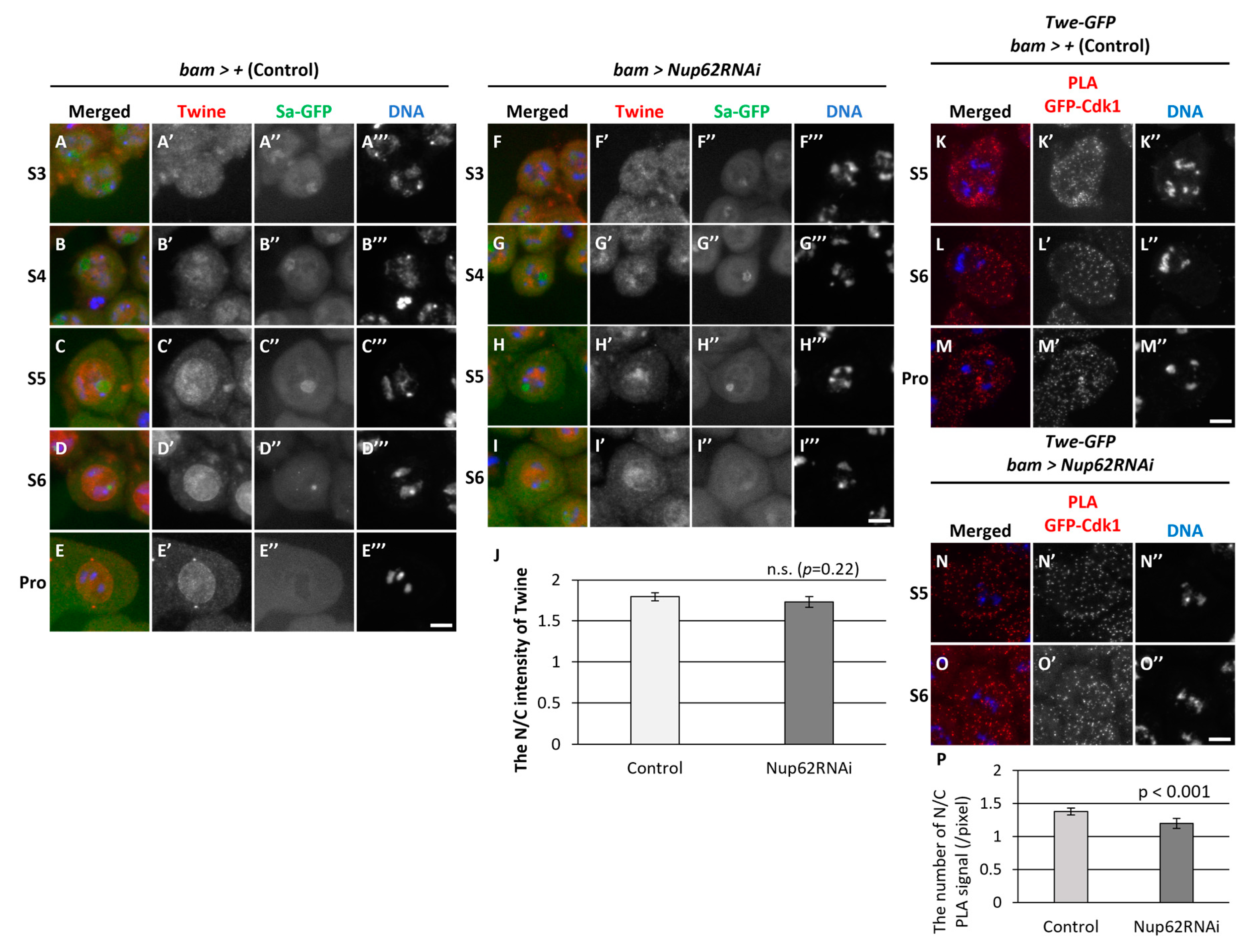 Preprints 87571 g006