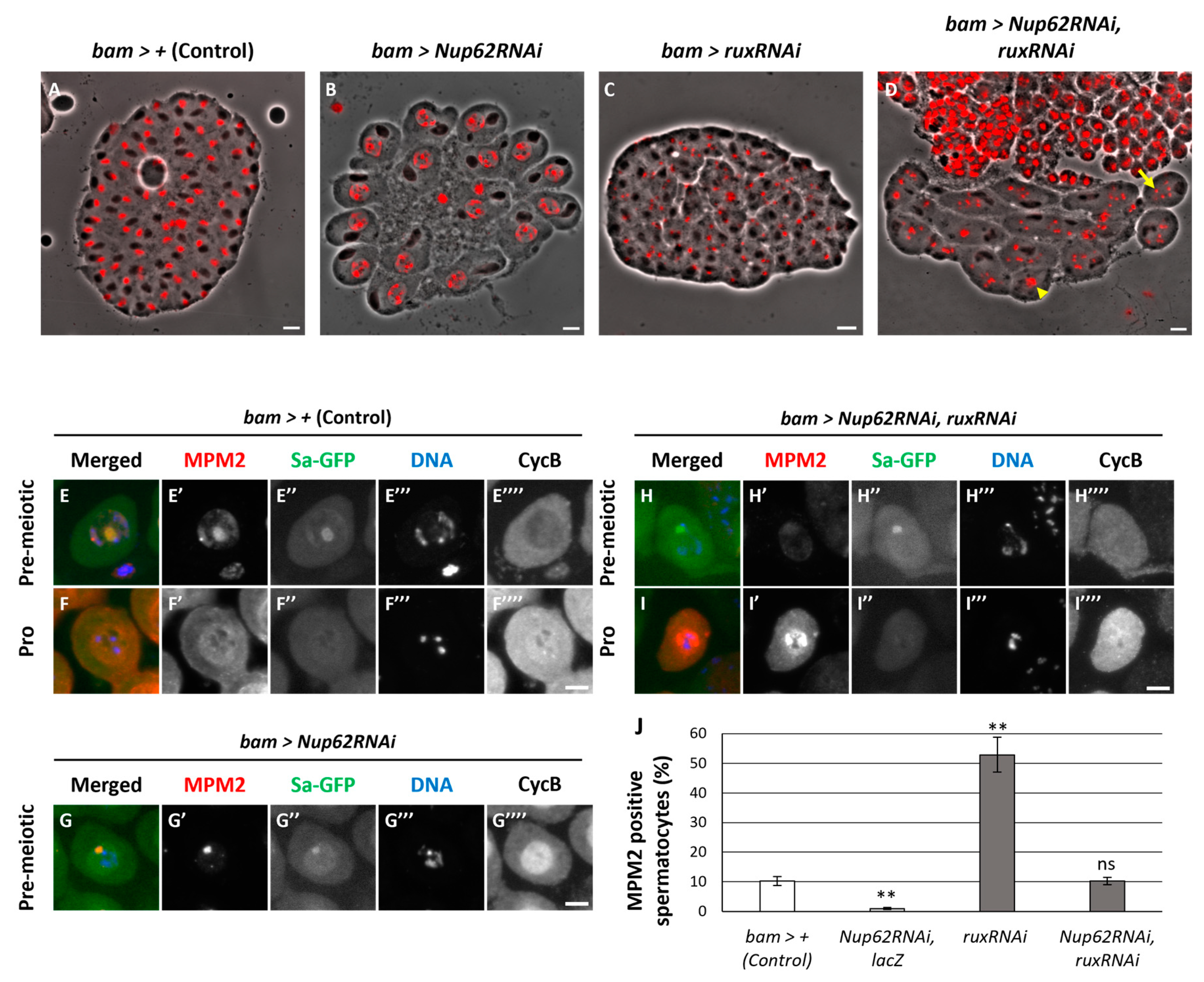 Preprints 87571 g007