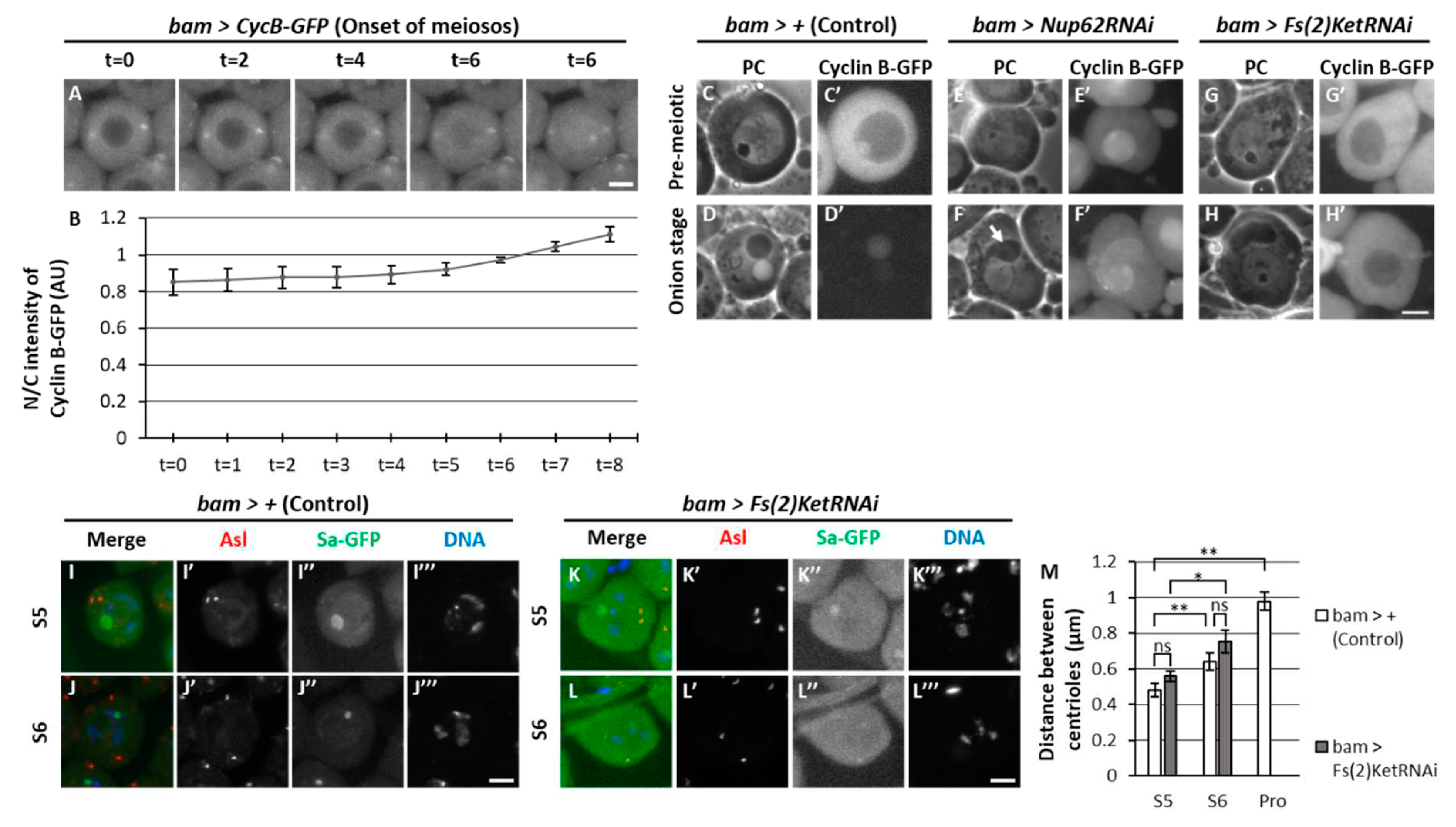 Preprints 87571 g008