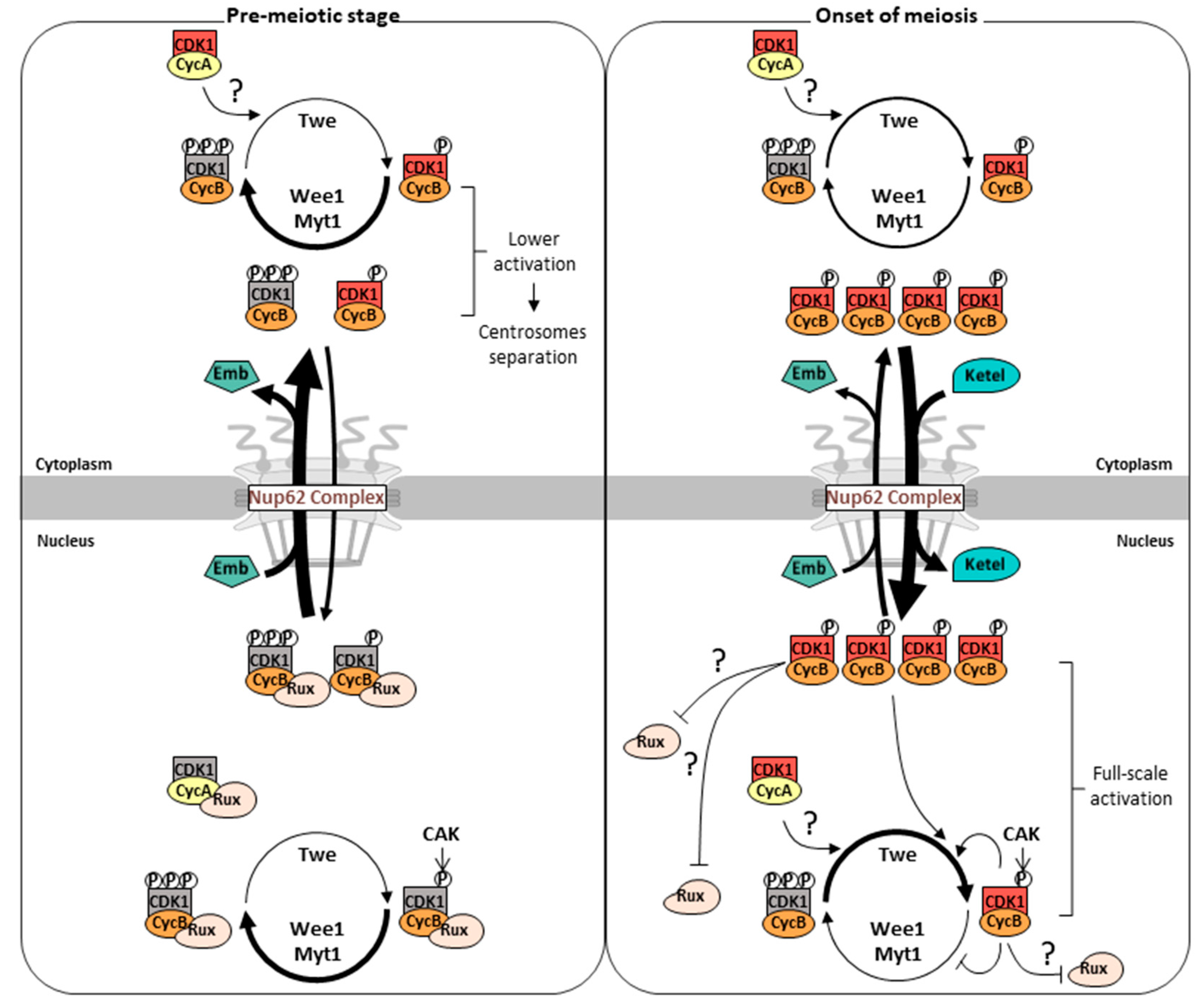 Preprints 87571 g009