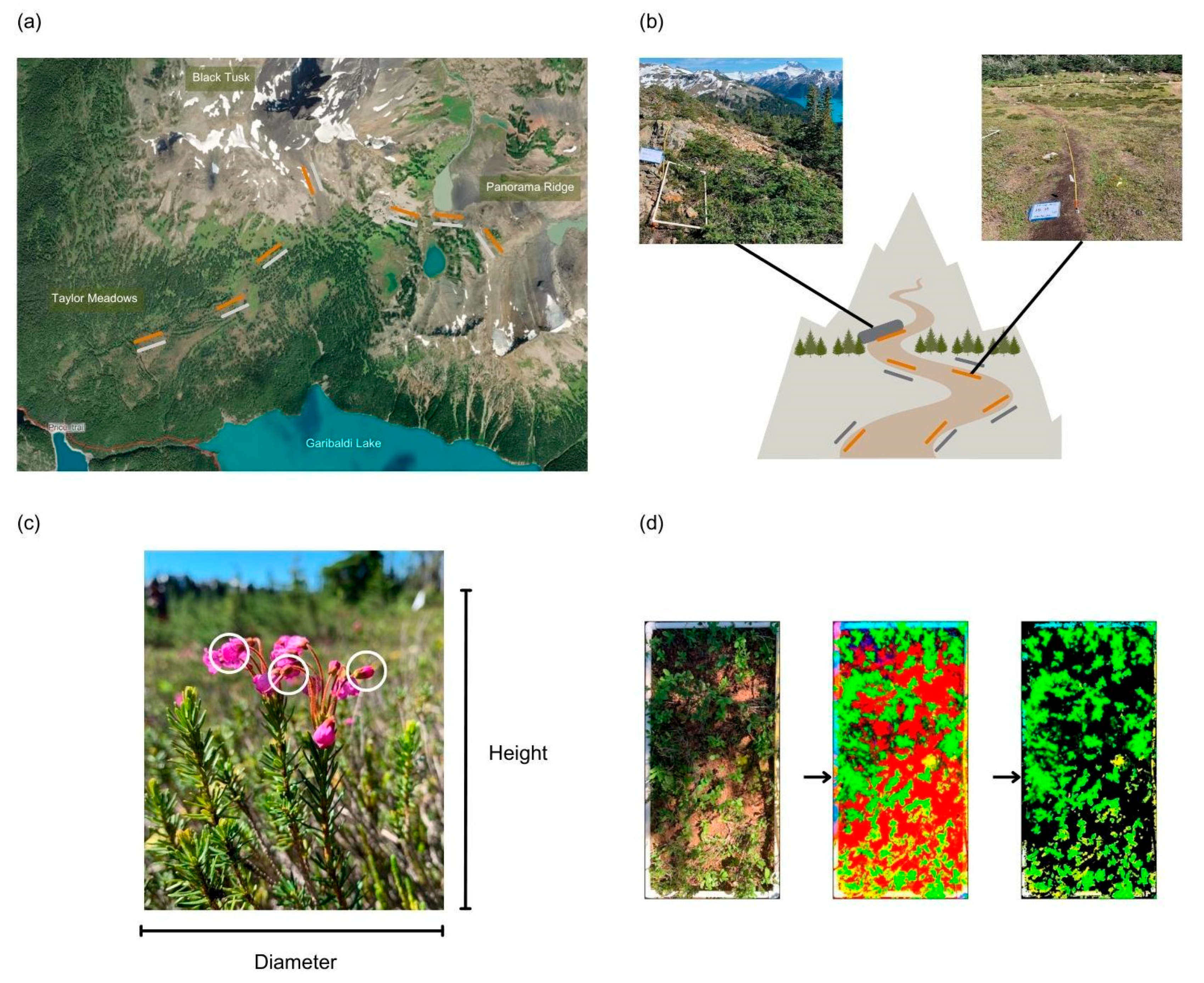 Preprints 78247 g003