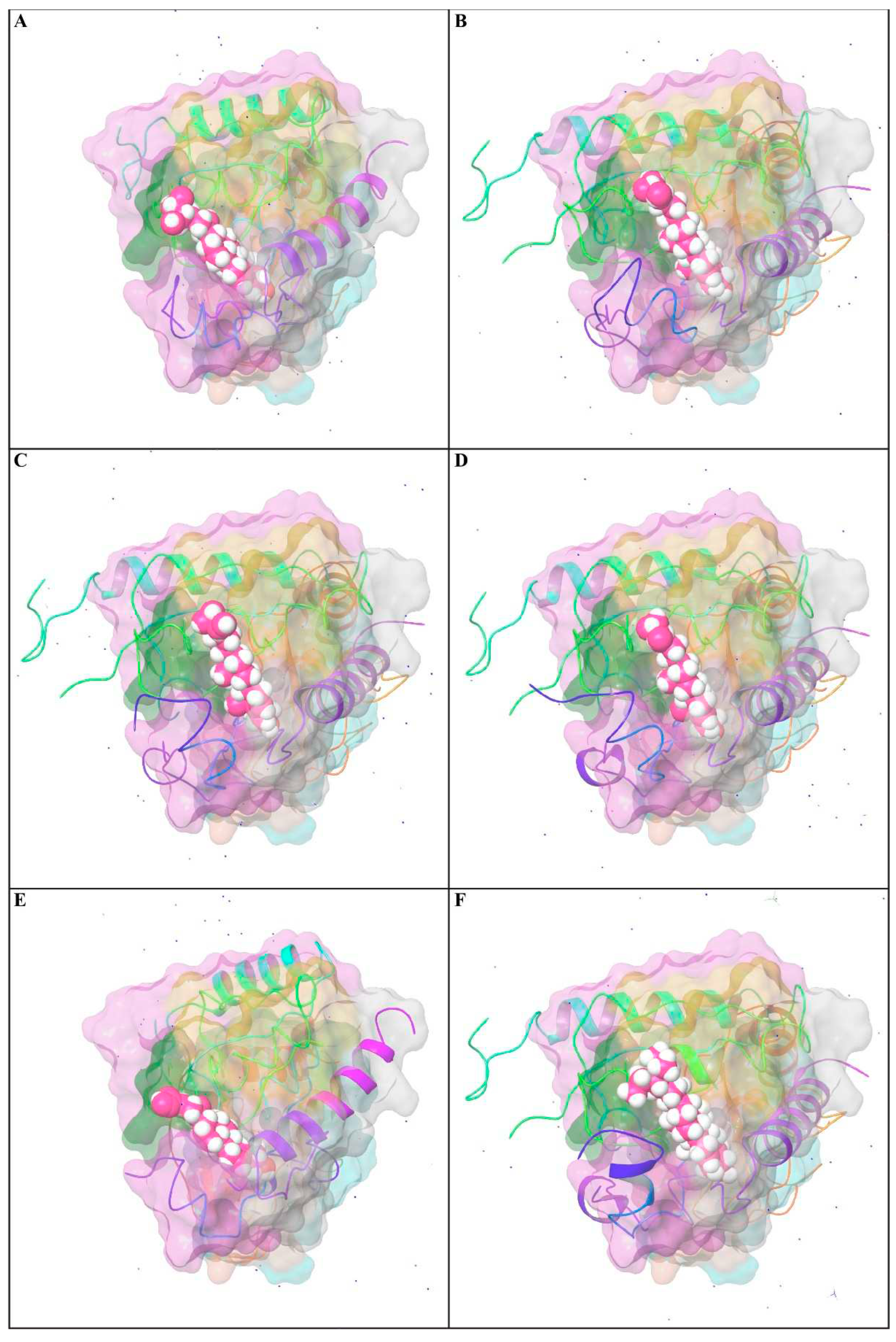 Preprints 76347 g010