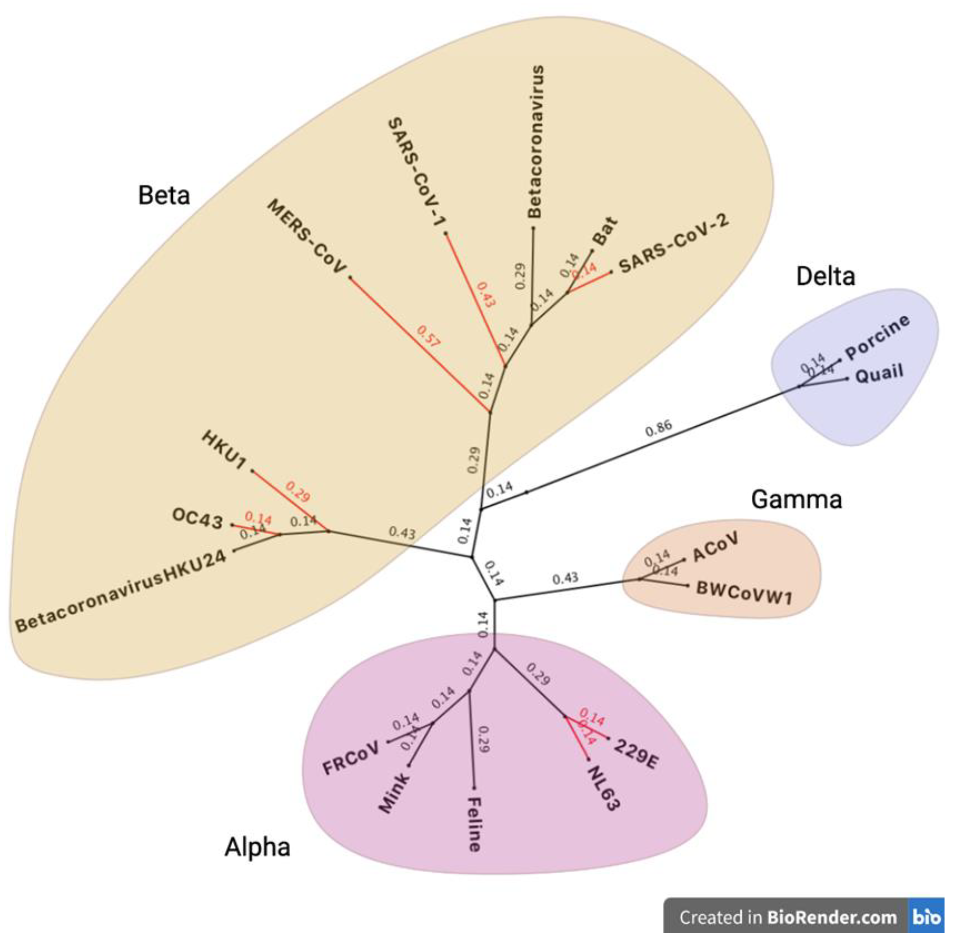 Preprints 92876 g002