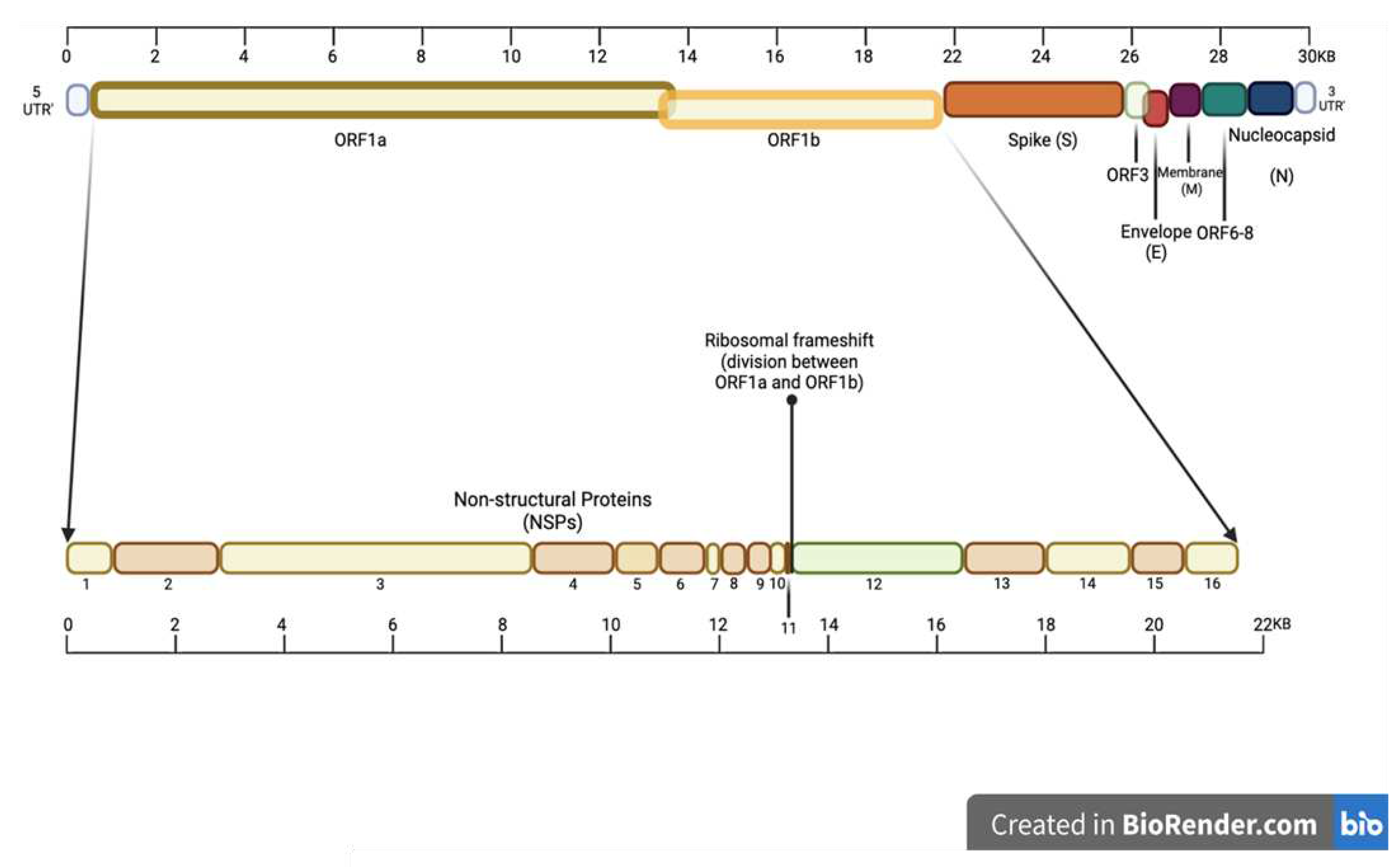 Preprints 92876 g003