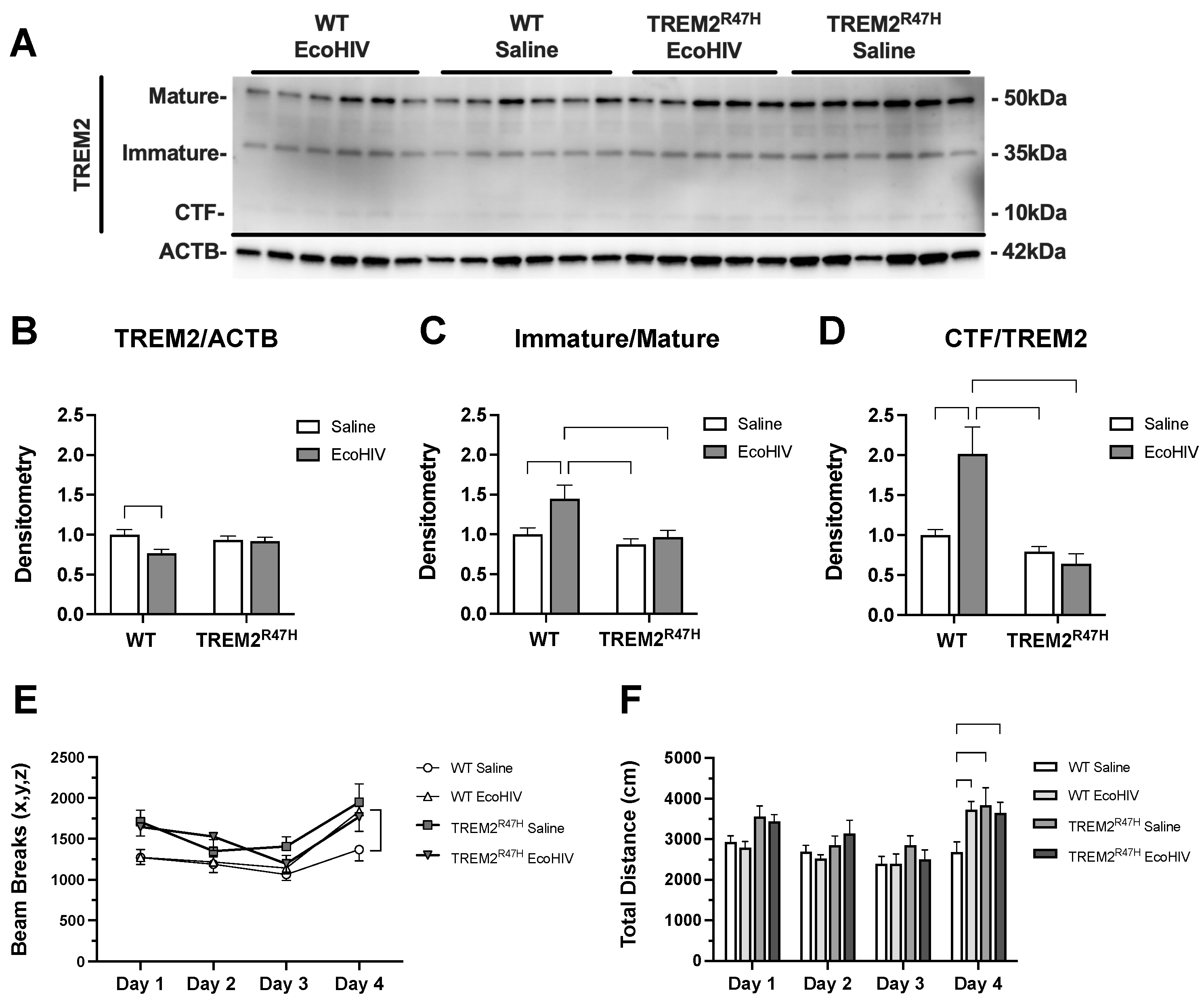 Preprints 115074 g001