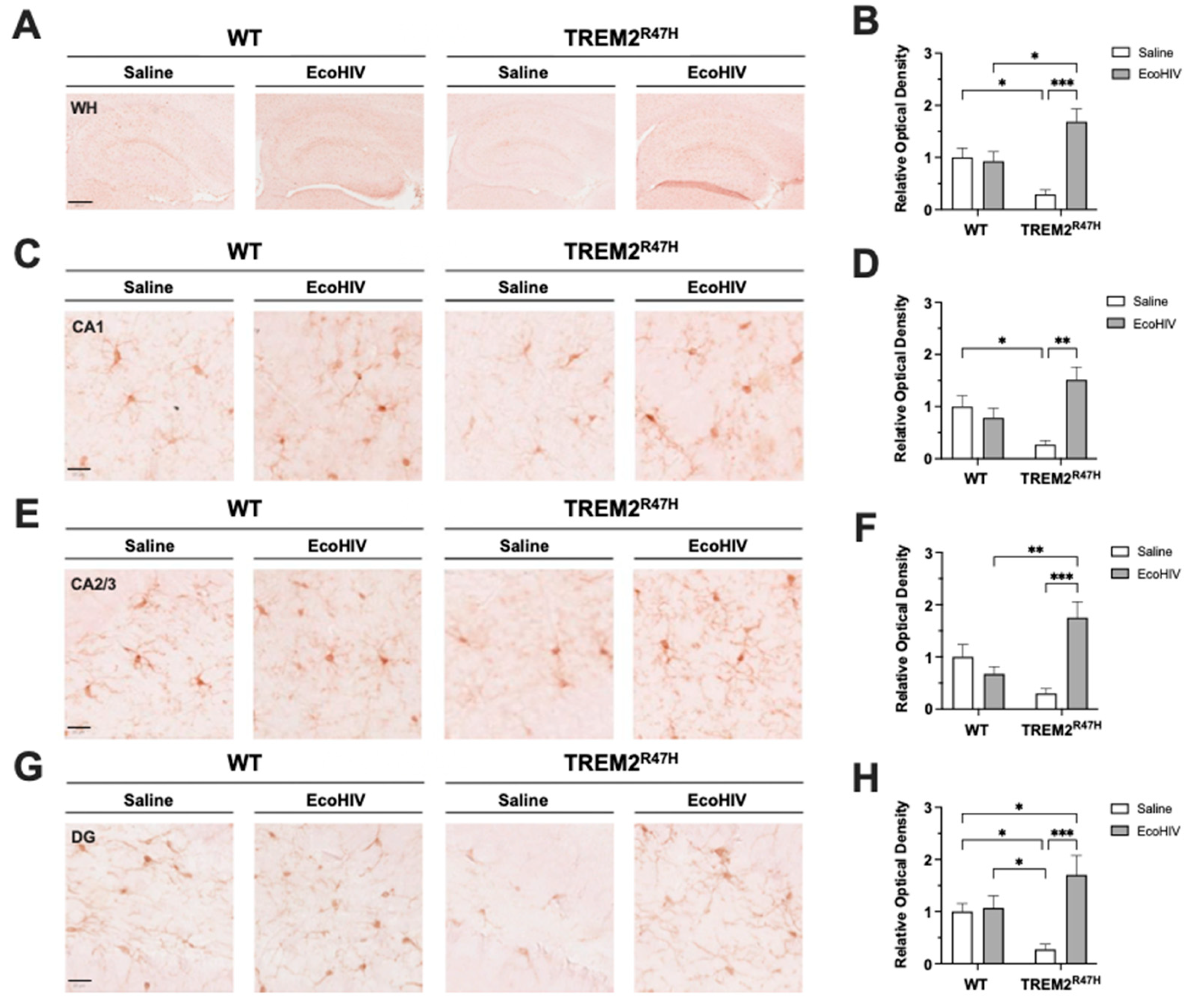 Preprints 115074 g002