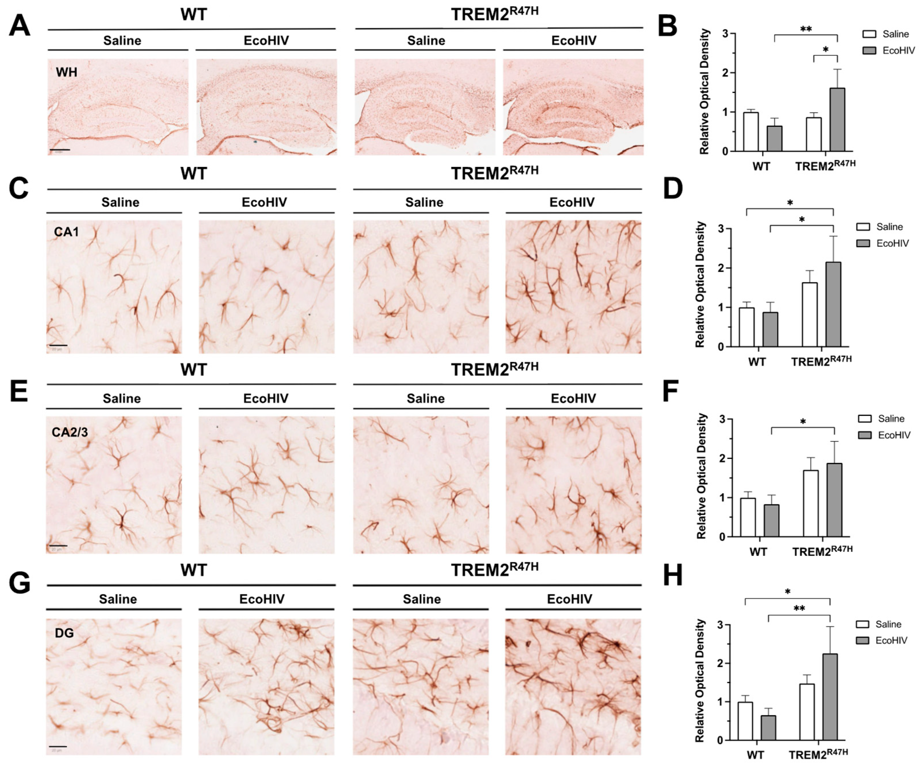 Preprints 115074 g003