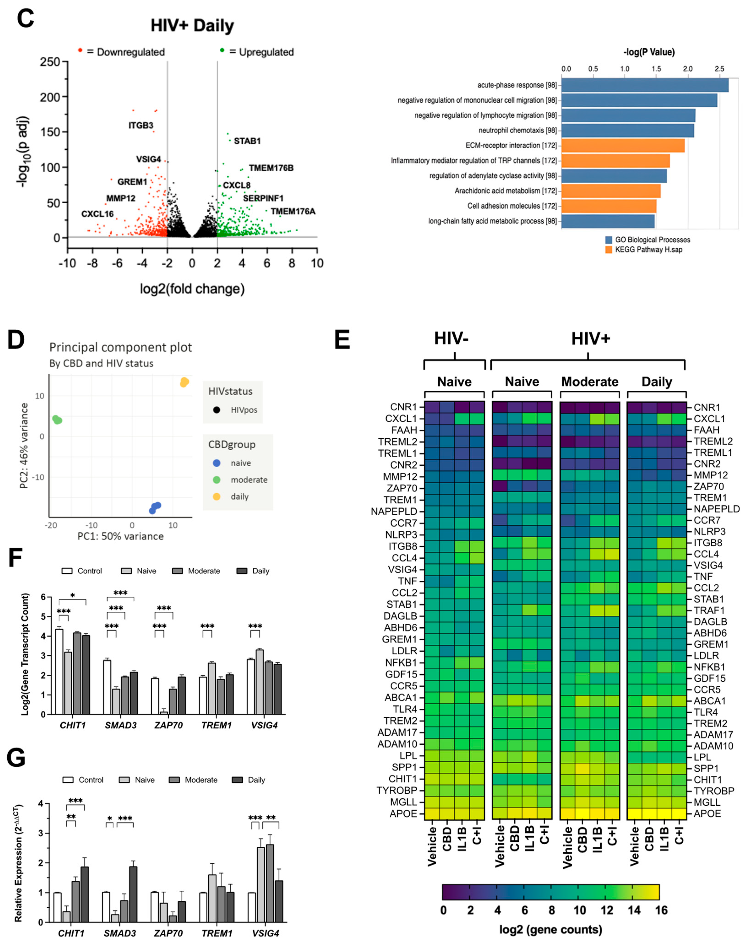 Preprints 115074 g006b