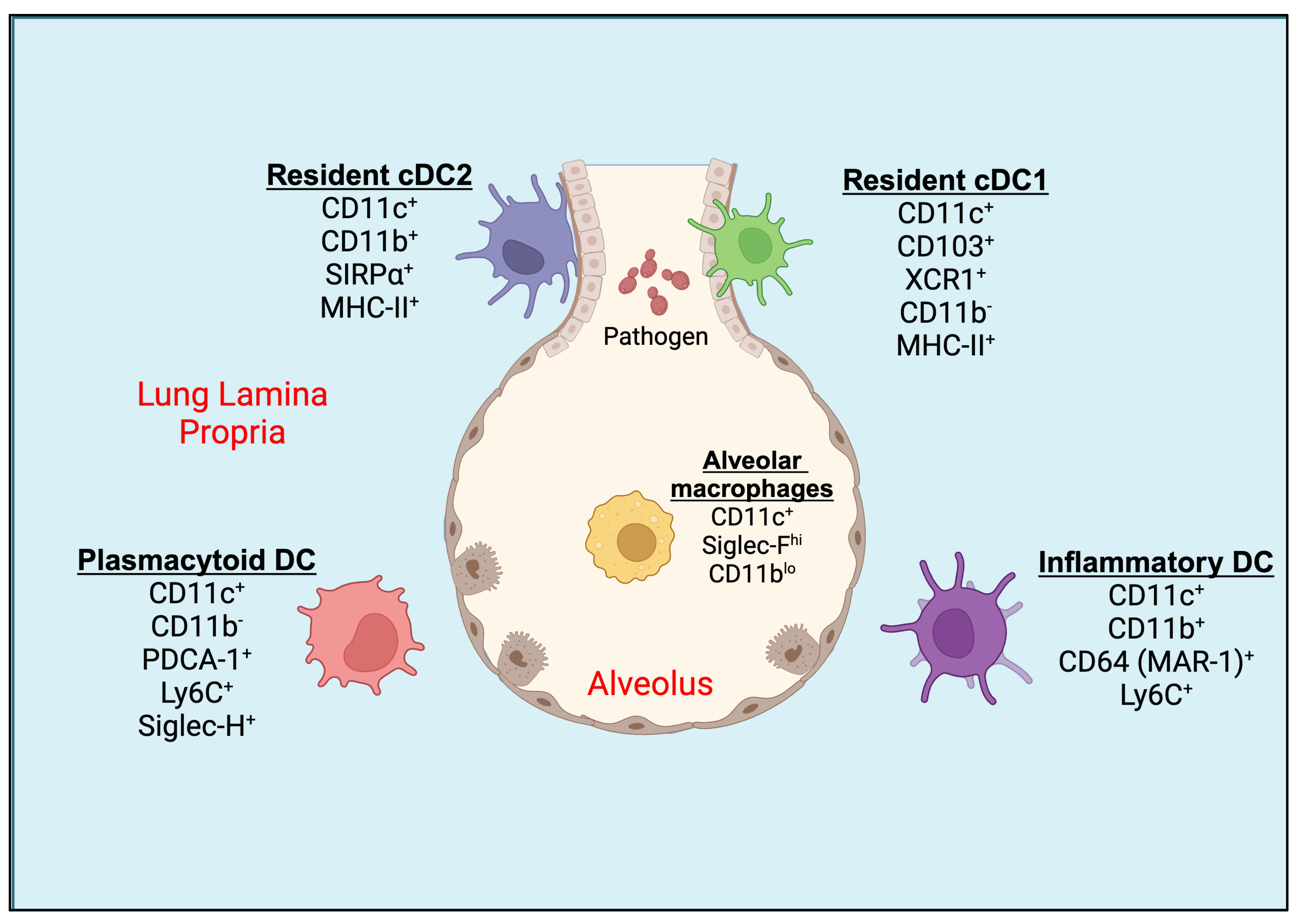 Preprints 113213 g001