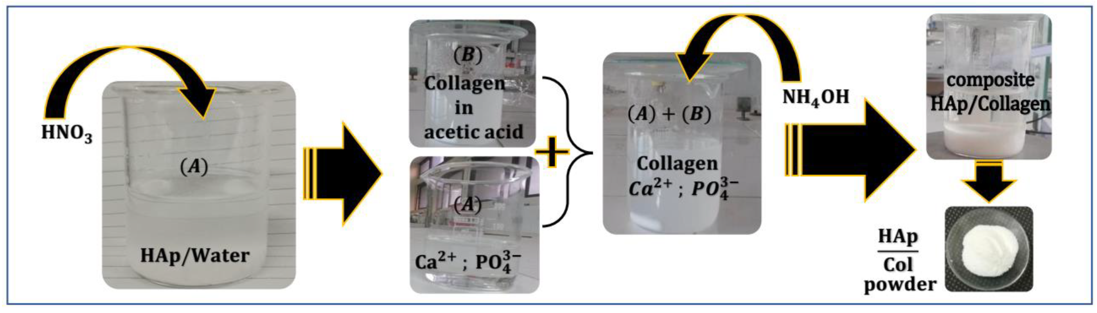 Preprints 92219 g002