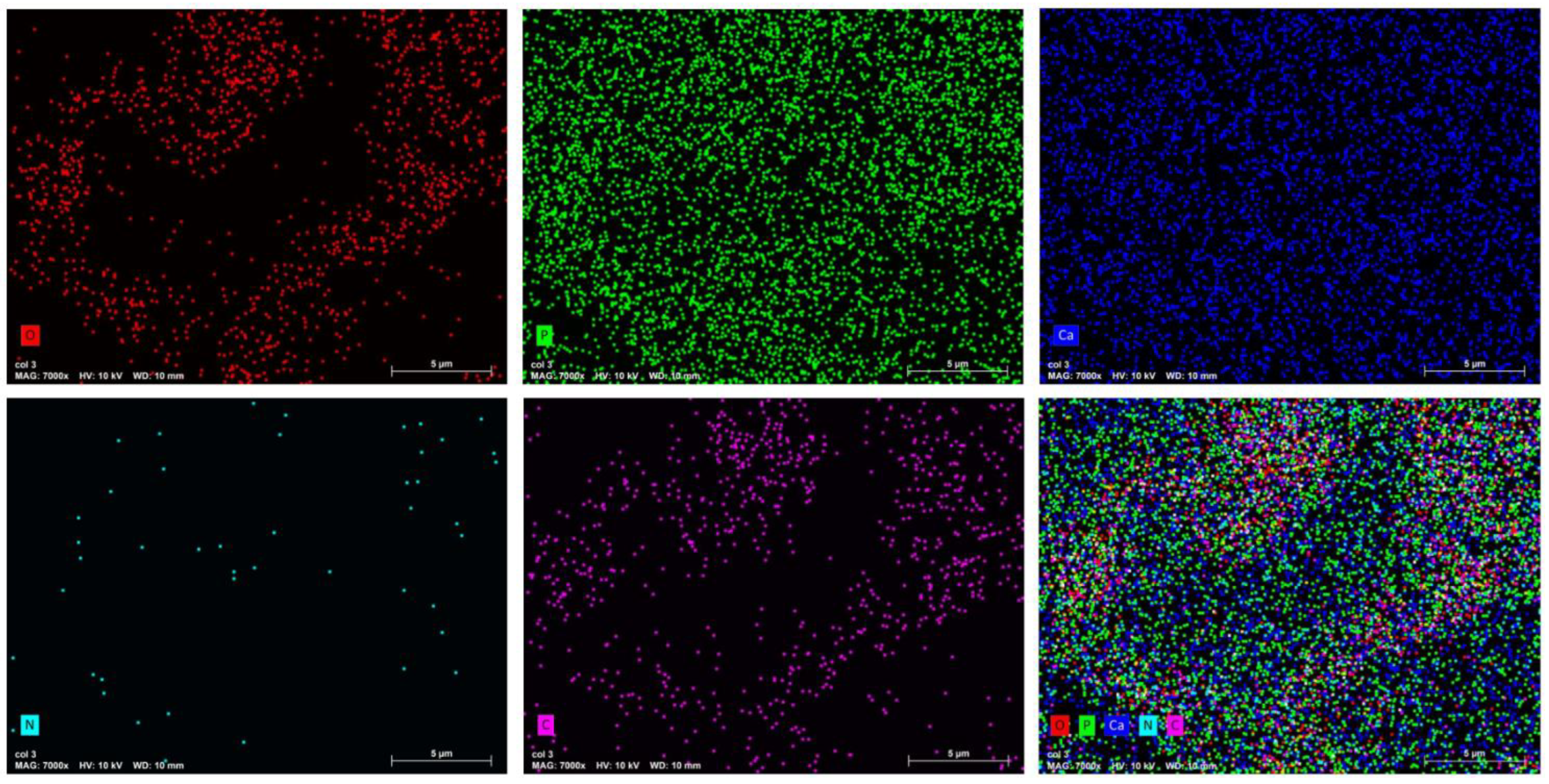 Preprints 92219 g007