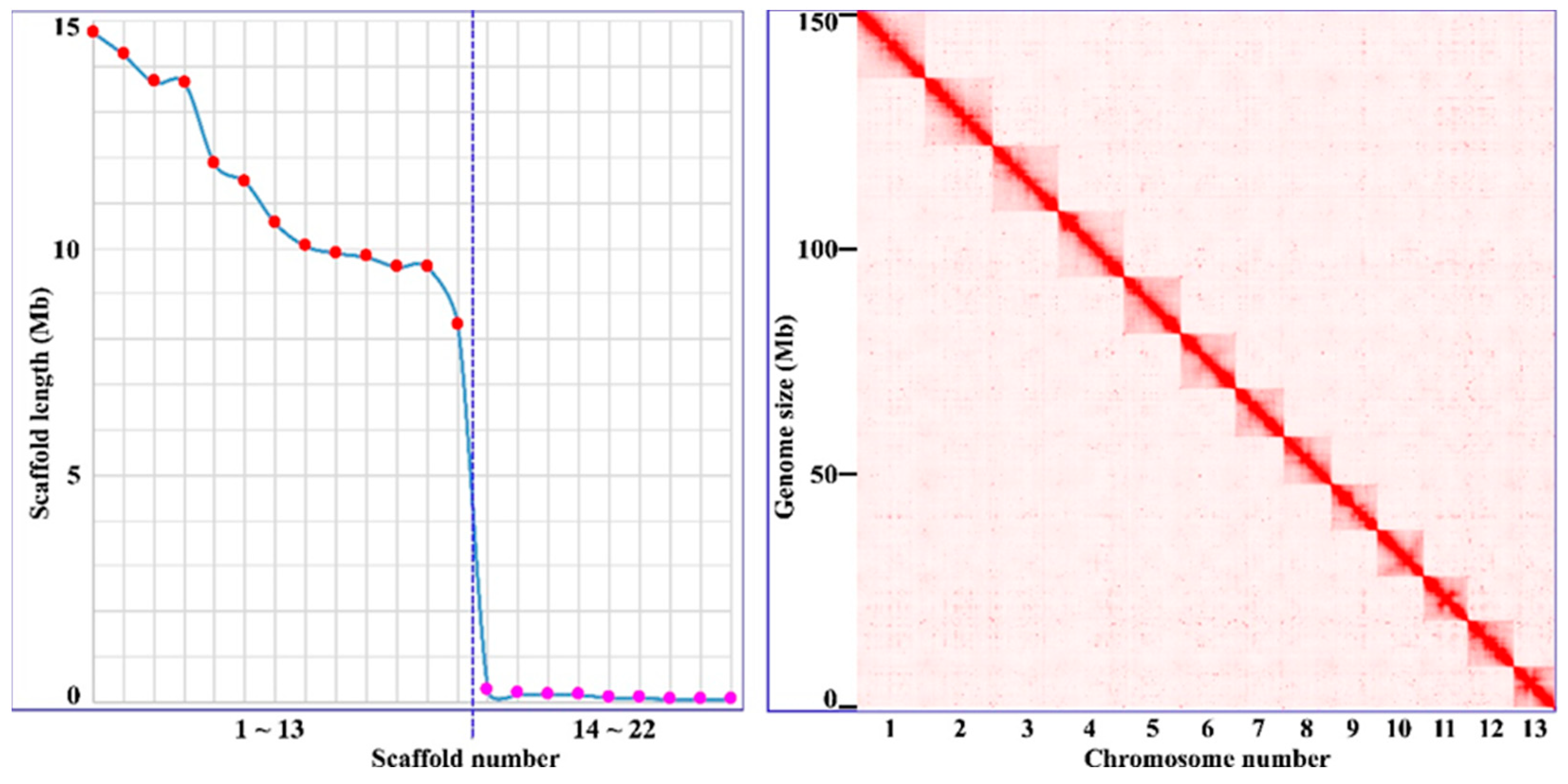 Preprints 89284 g001