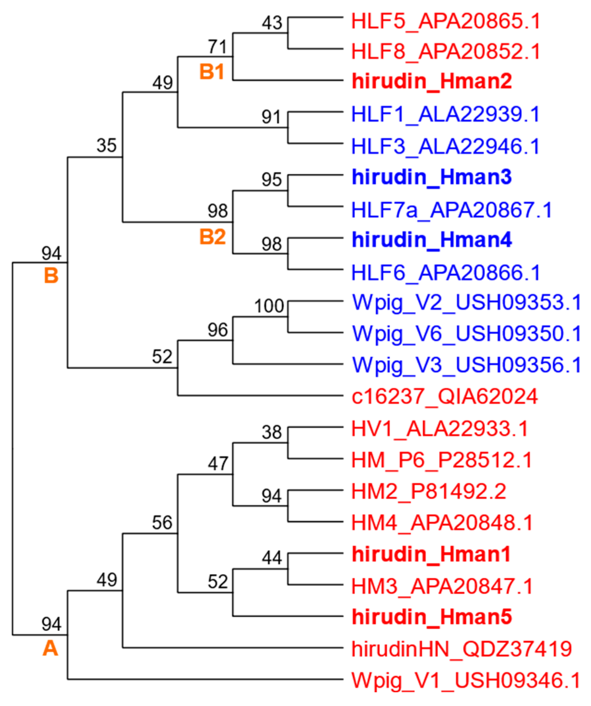 Preprints 89284 g019