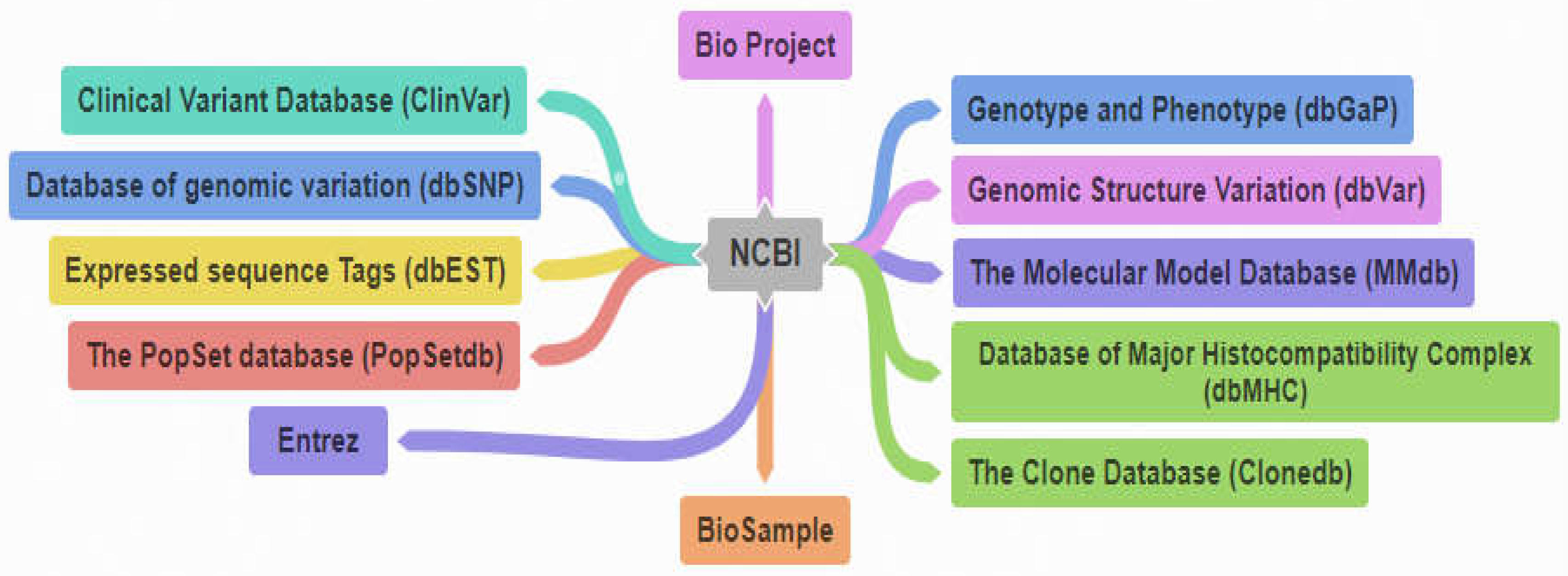 Preprints 68764 g001