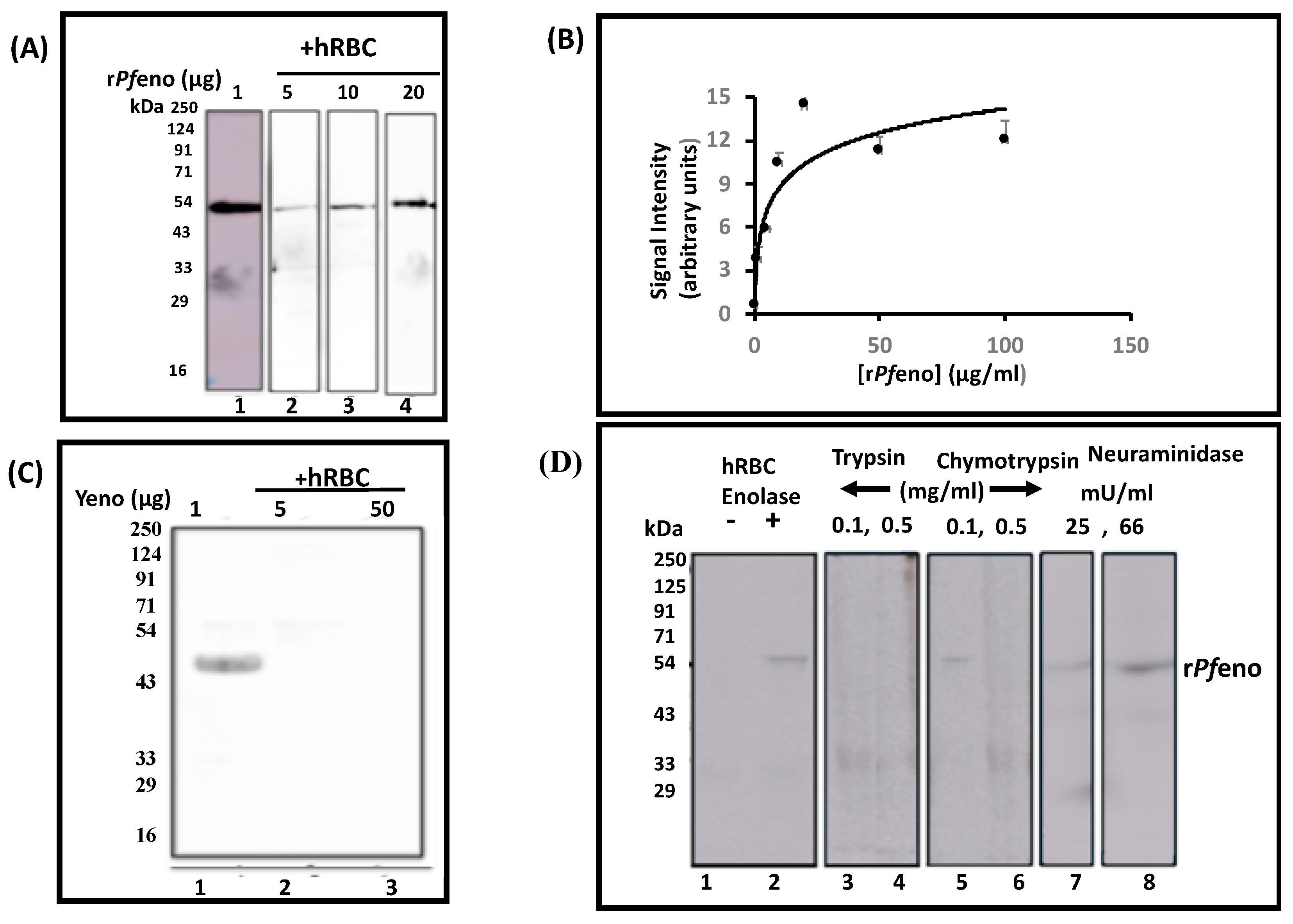 Preprints 73704 g001