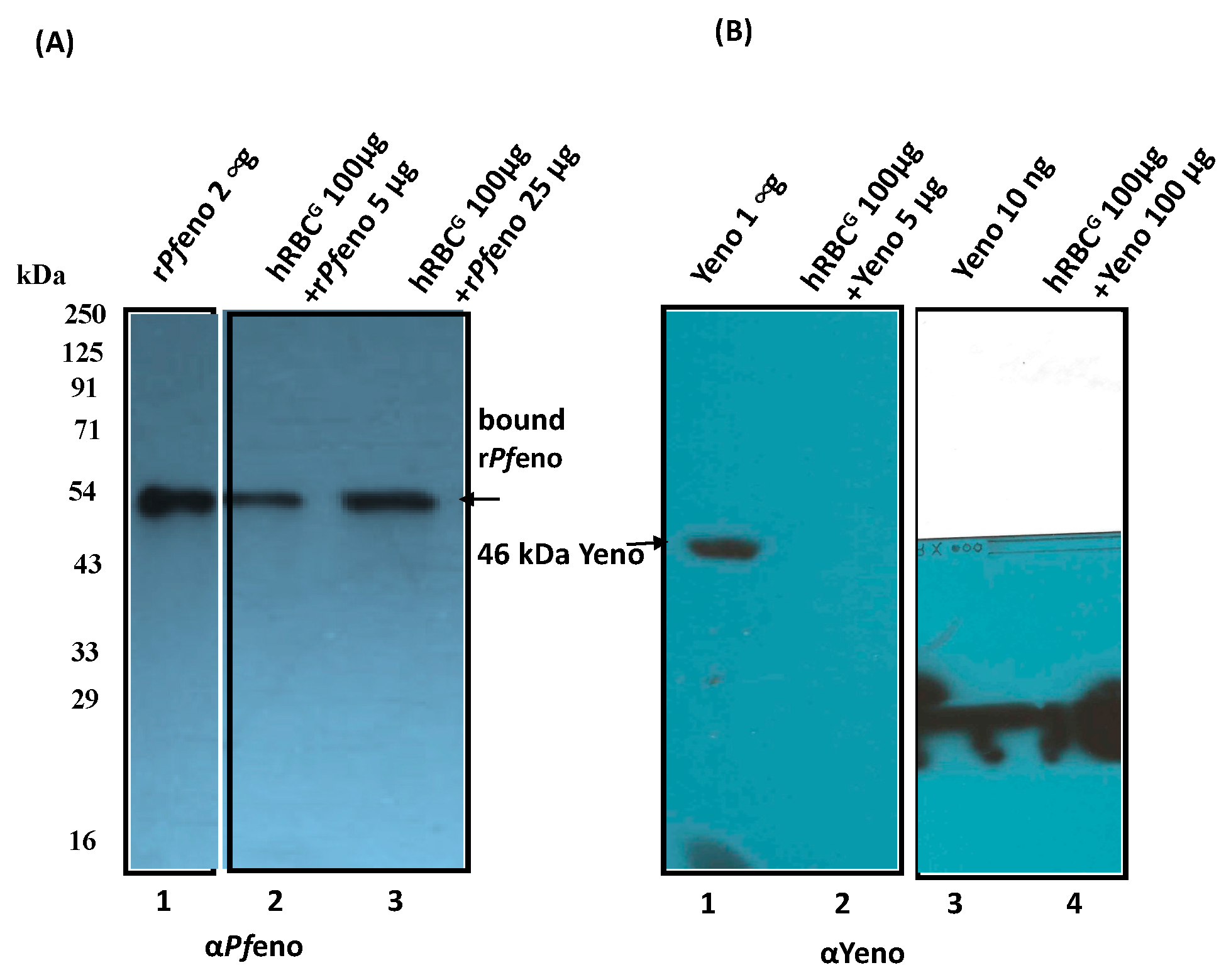 Preprints 73704 g002