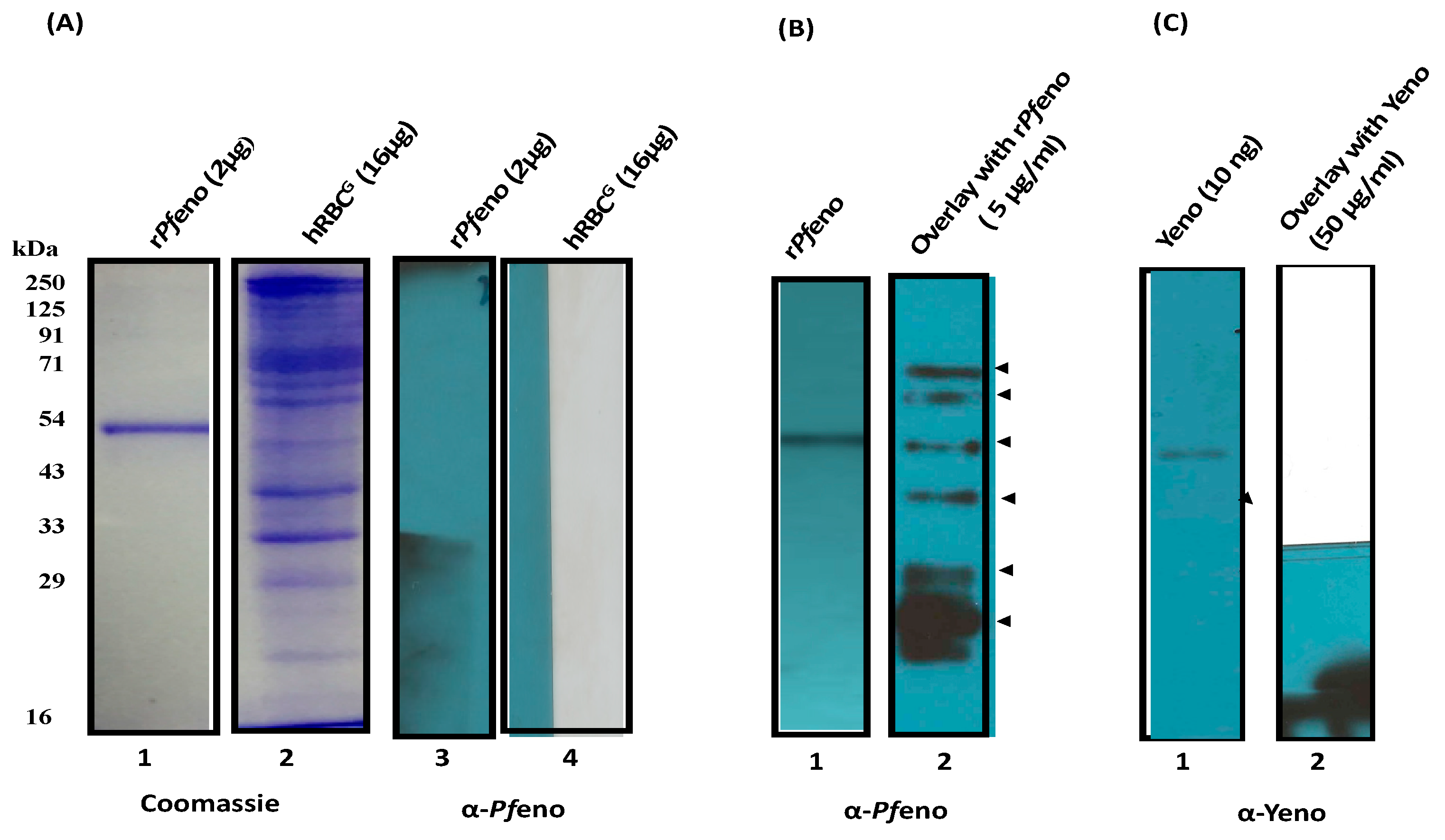 Preprints 73704 g003