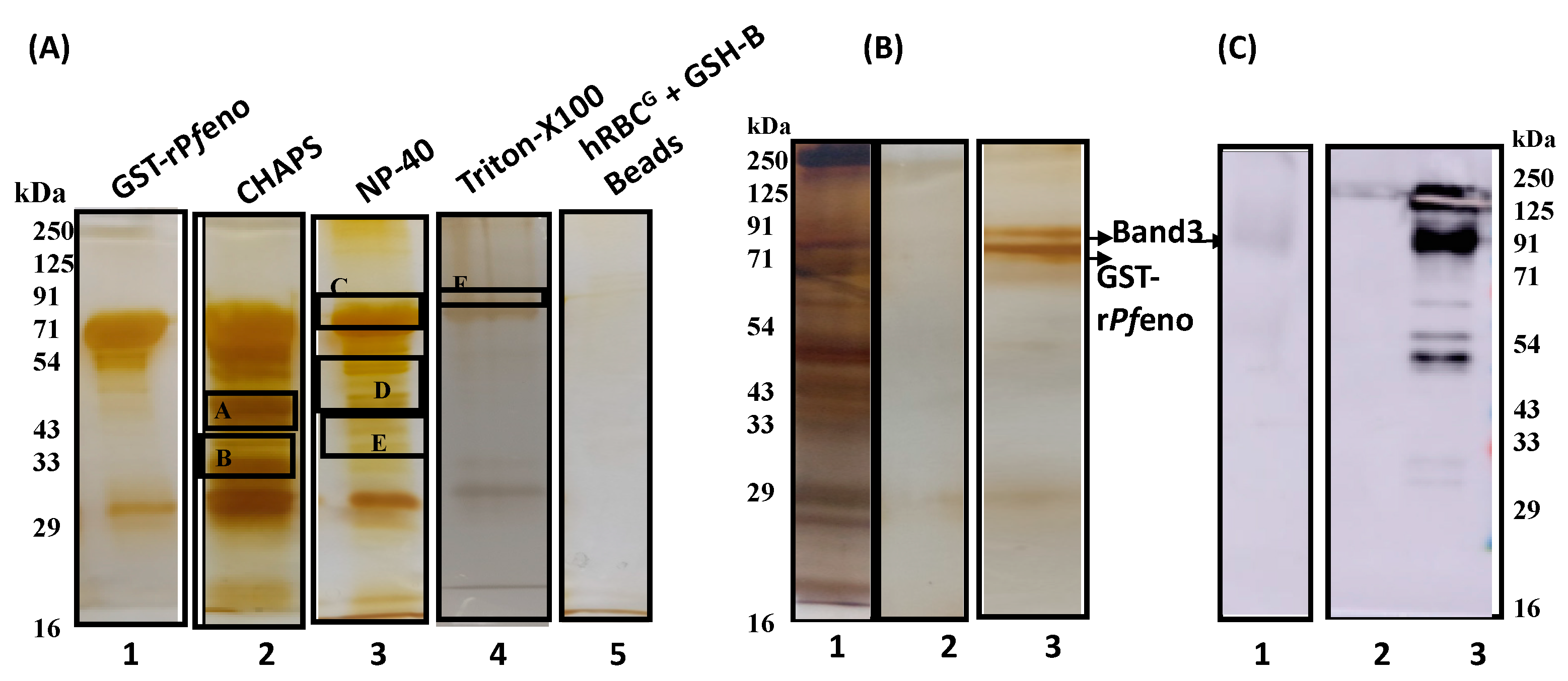 Preprints 73704 g004