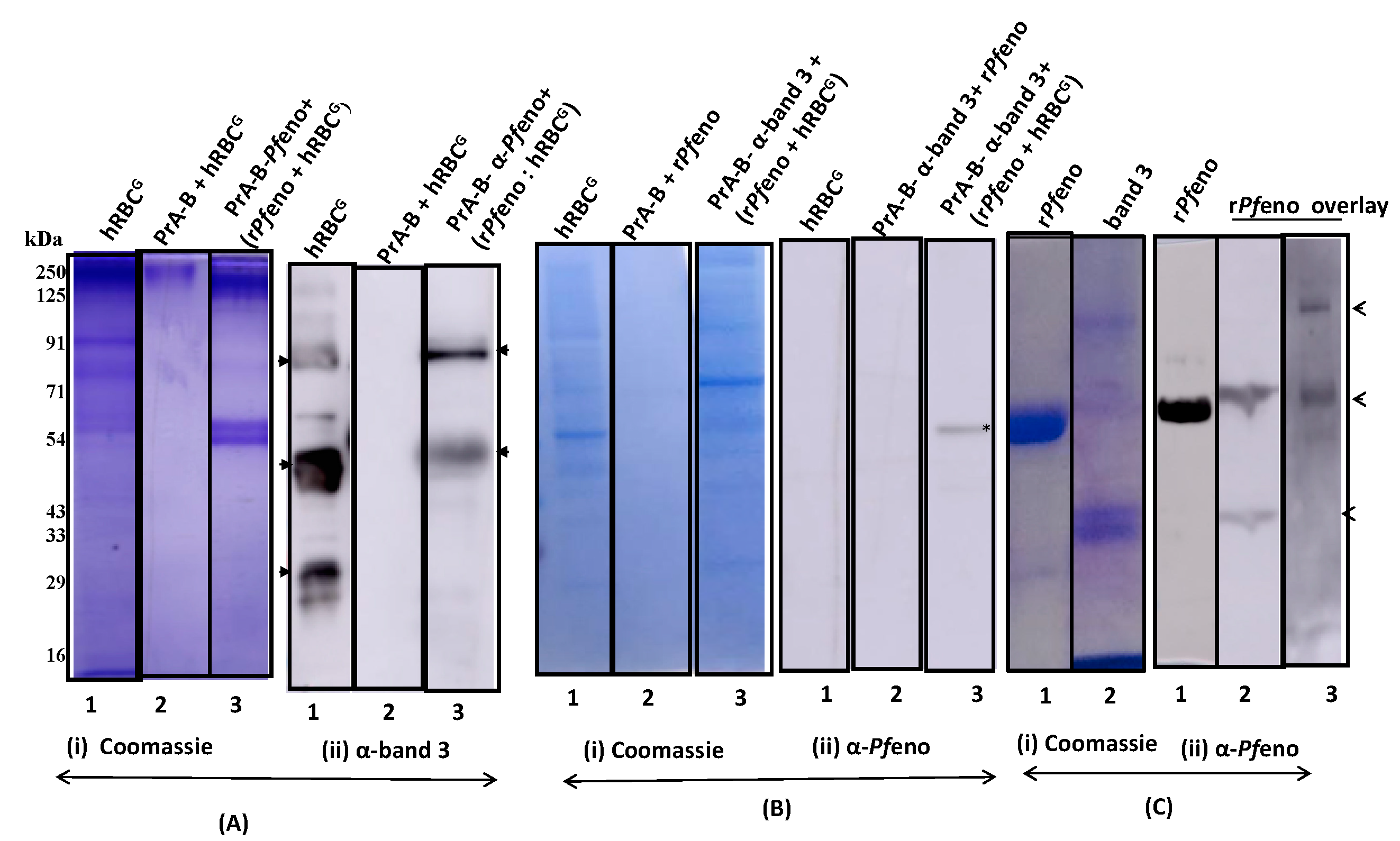 Preprints 73704 g005