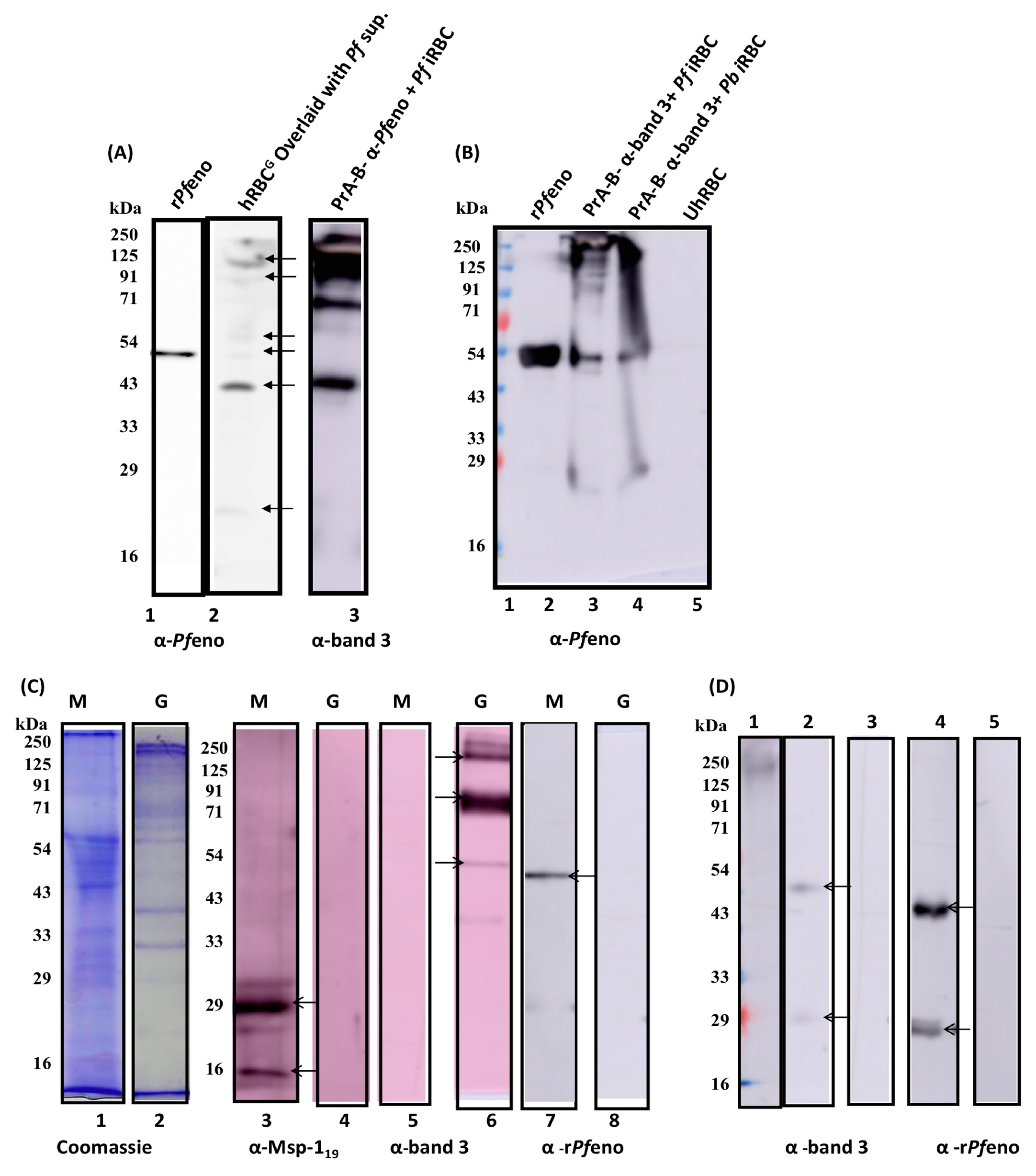 Preprints 73704 g006