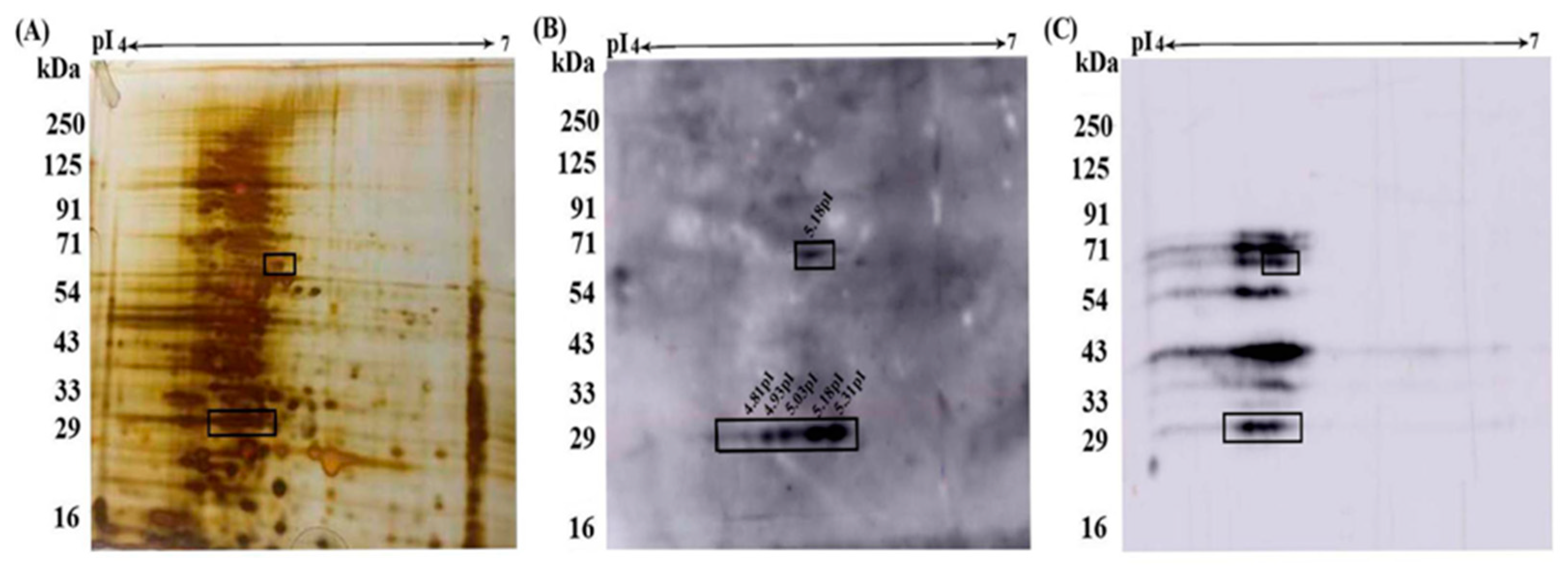 Preprints 73704 g007