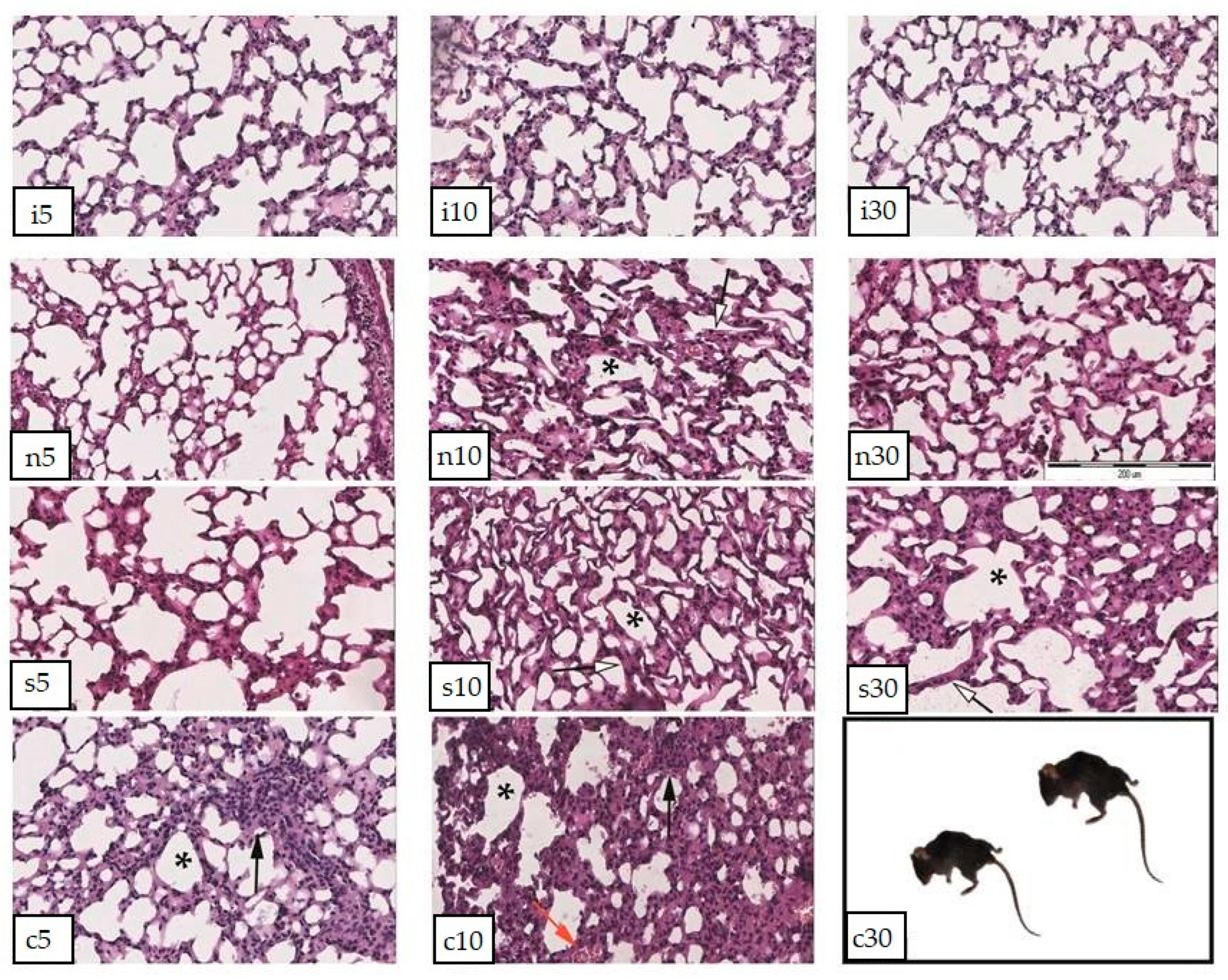 Preprints 74451 g002