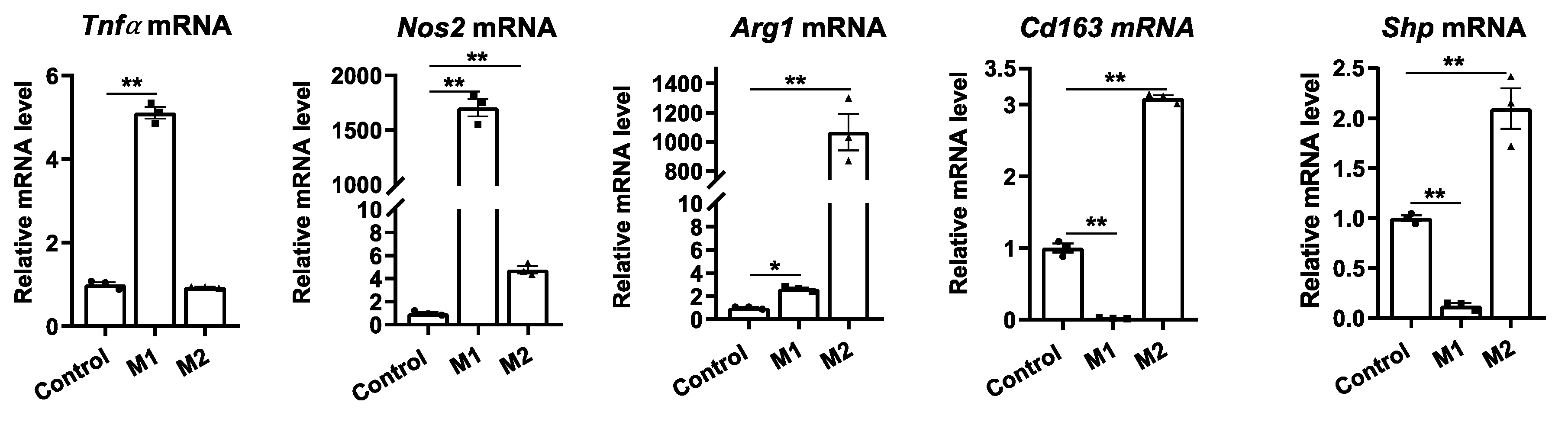 Preprints 80827 g001