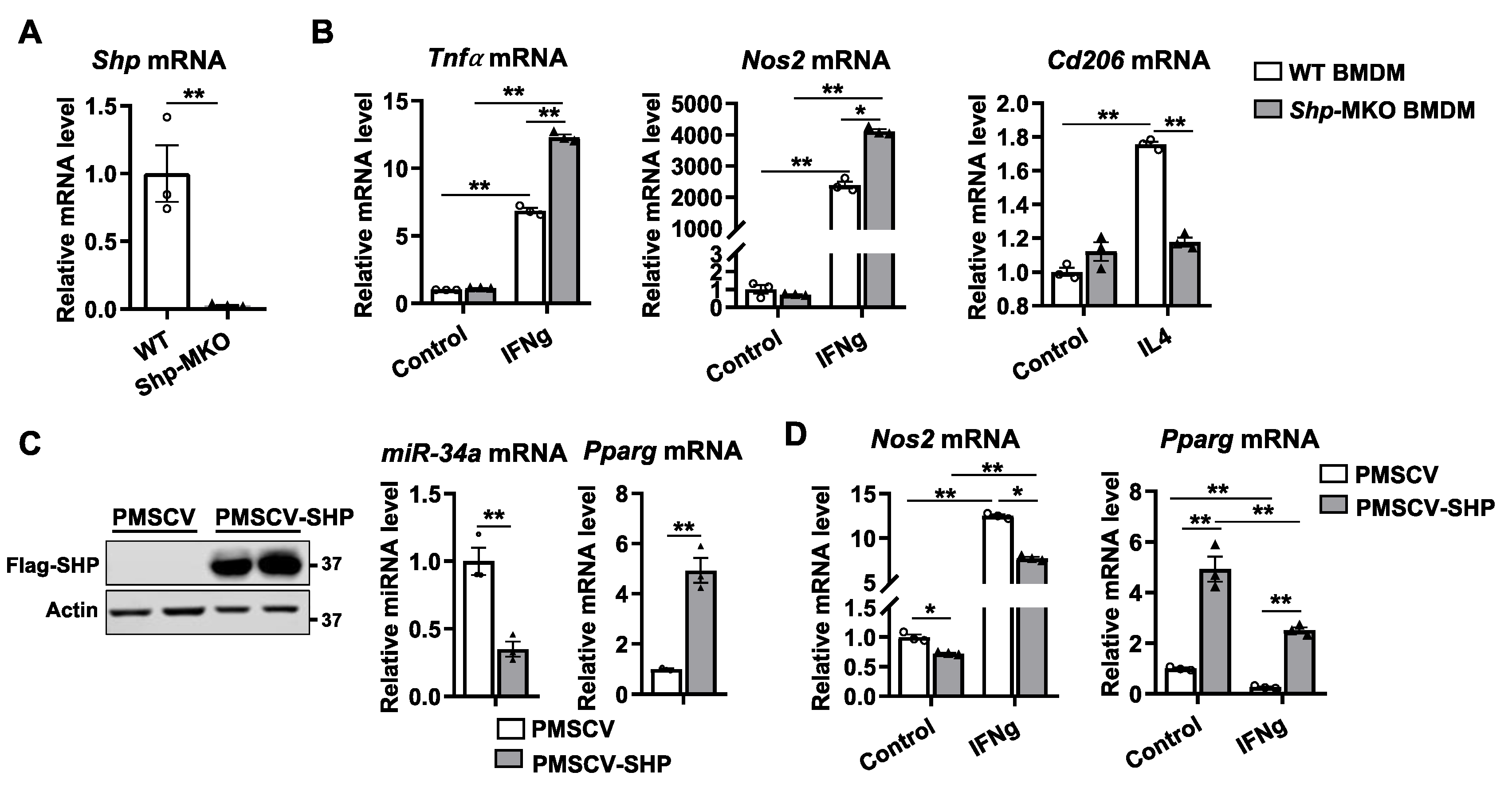 Preprints 80827 g002