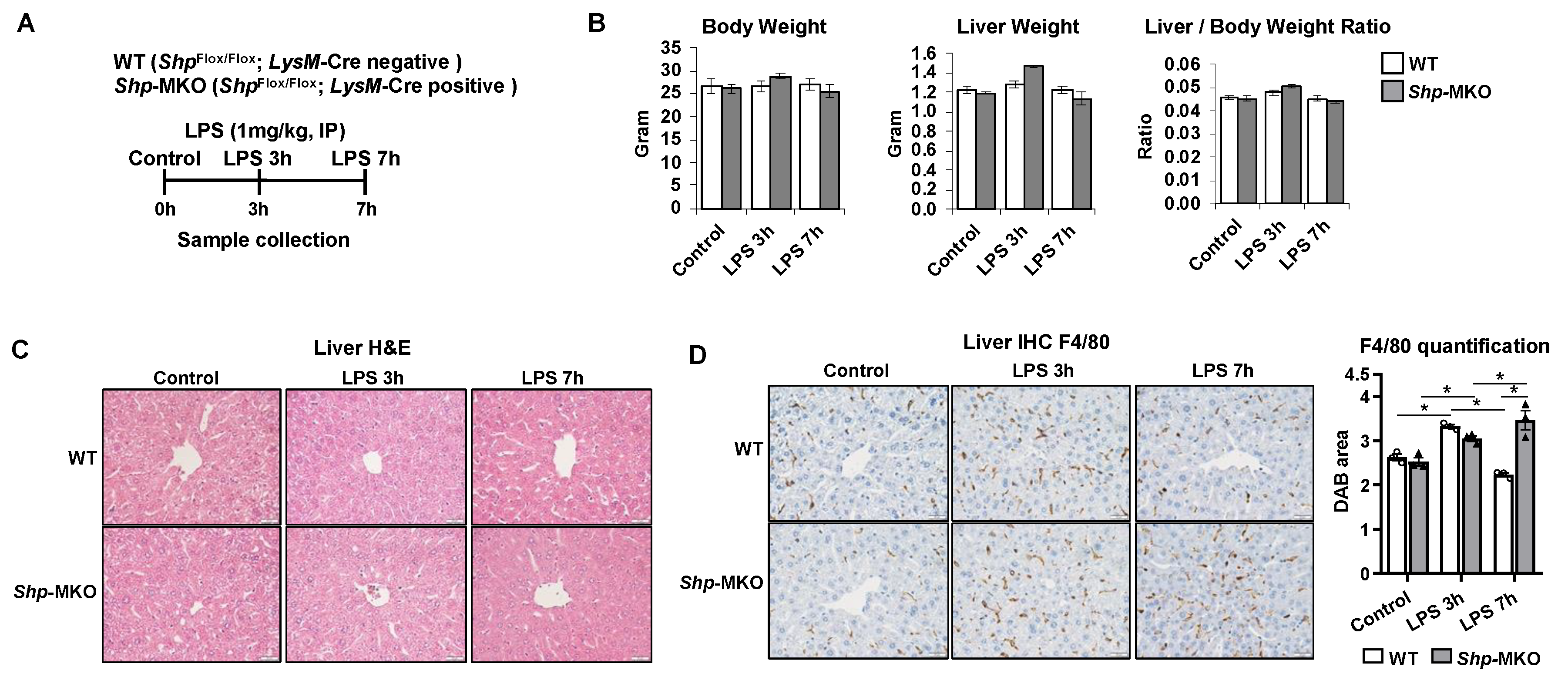 Preprints 80827 g003