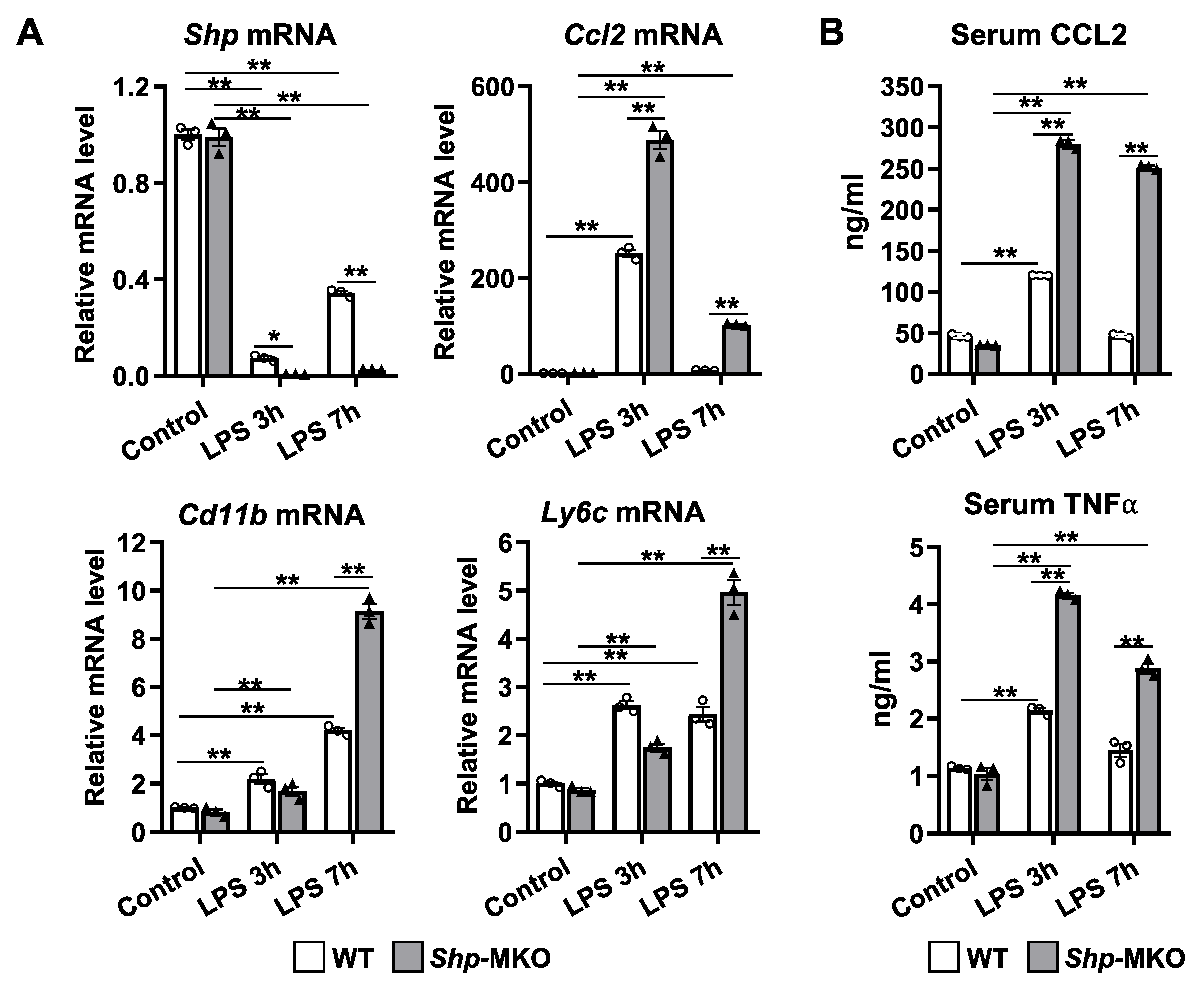 Preprints 80827 g005