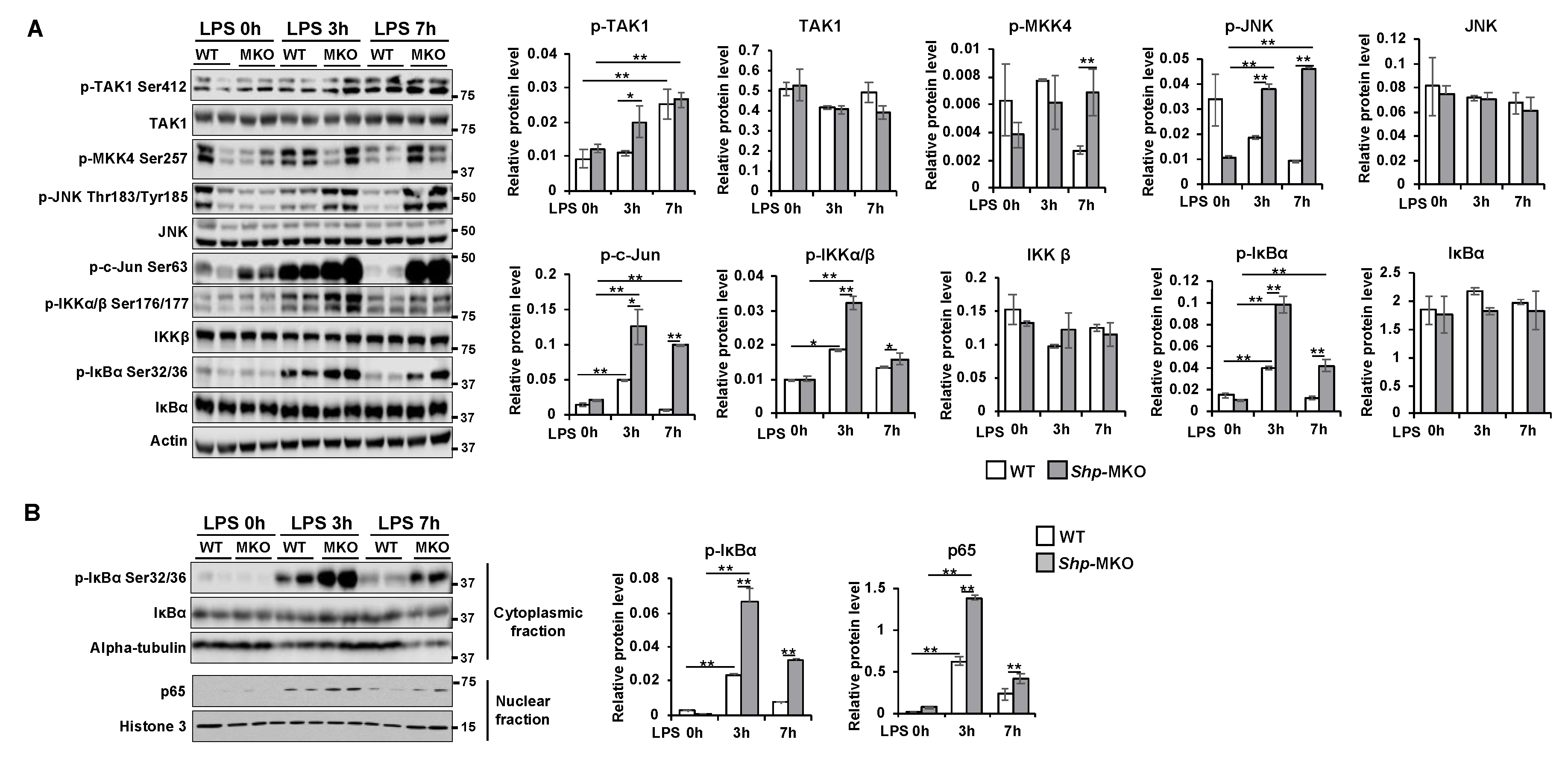 Preprints 80827 g006