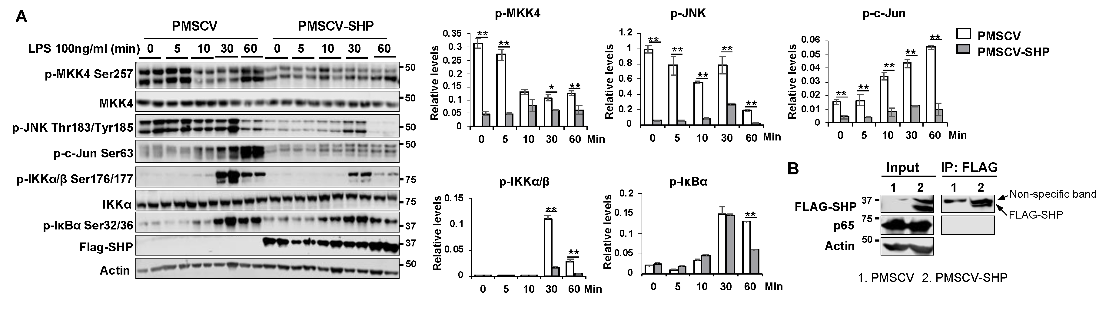 Preprints 80827 g007