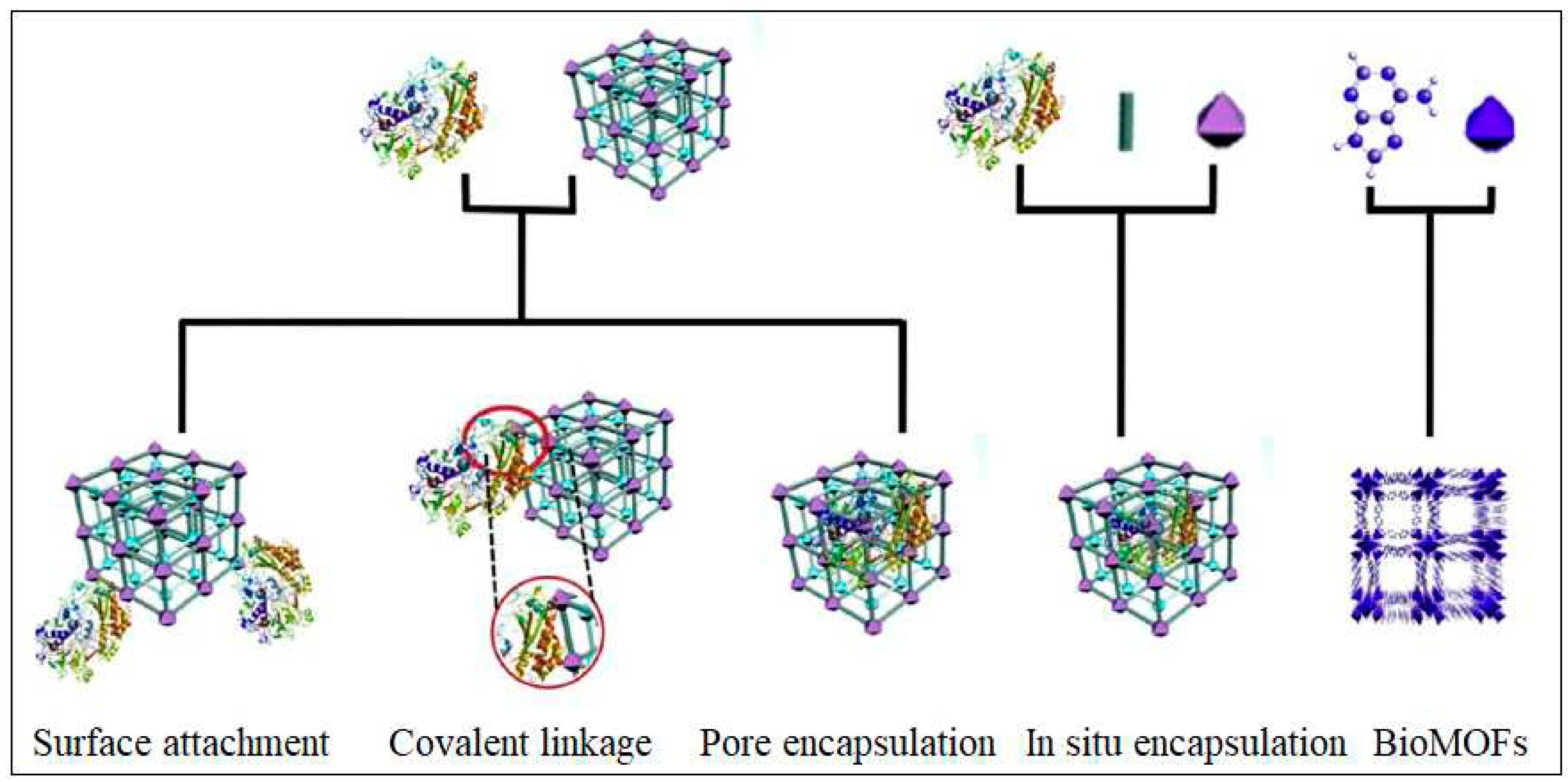 Preprints 78276 g006