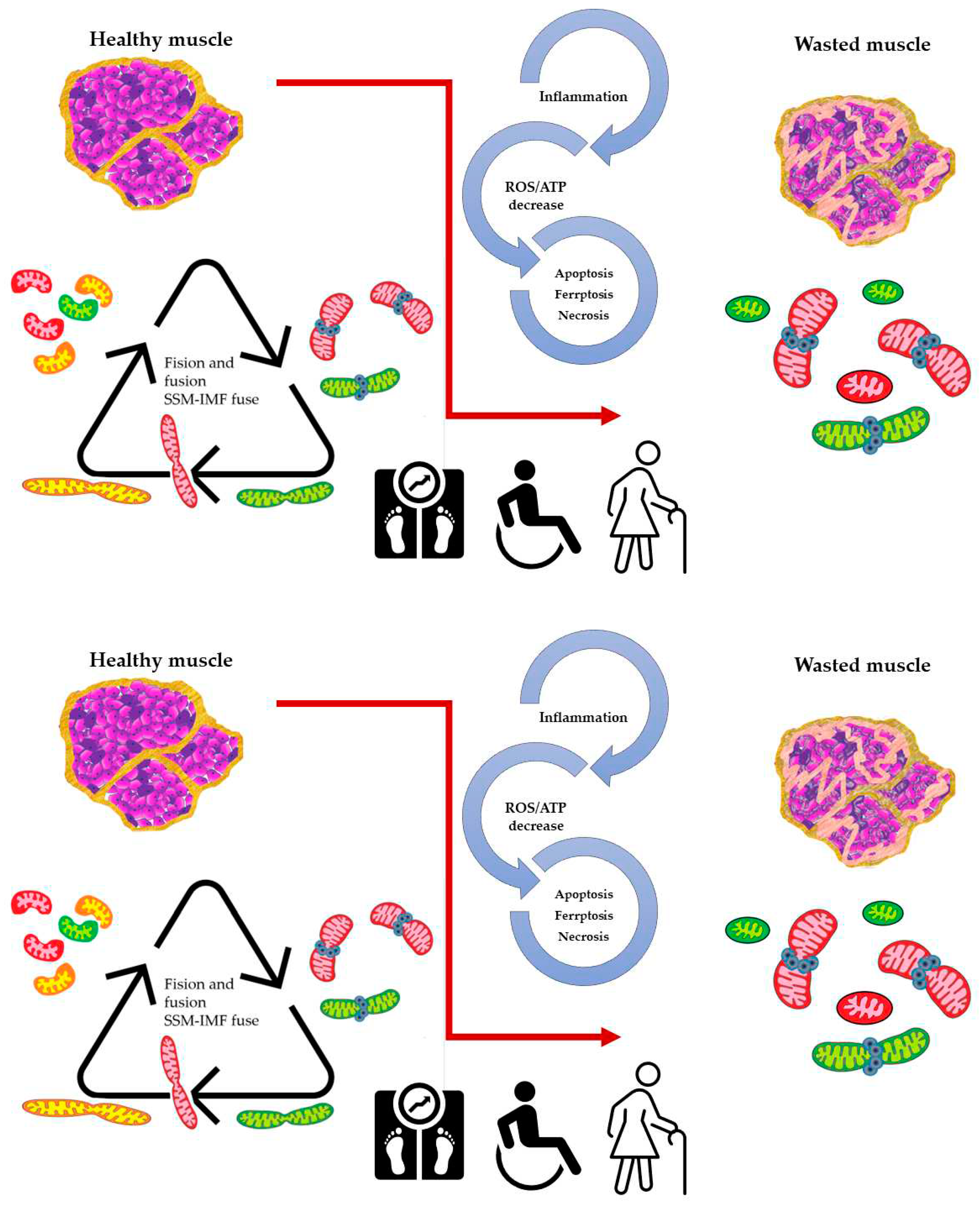 Preprints 75065 g002