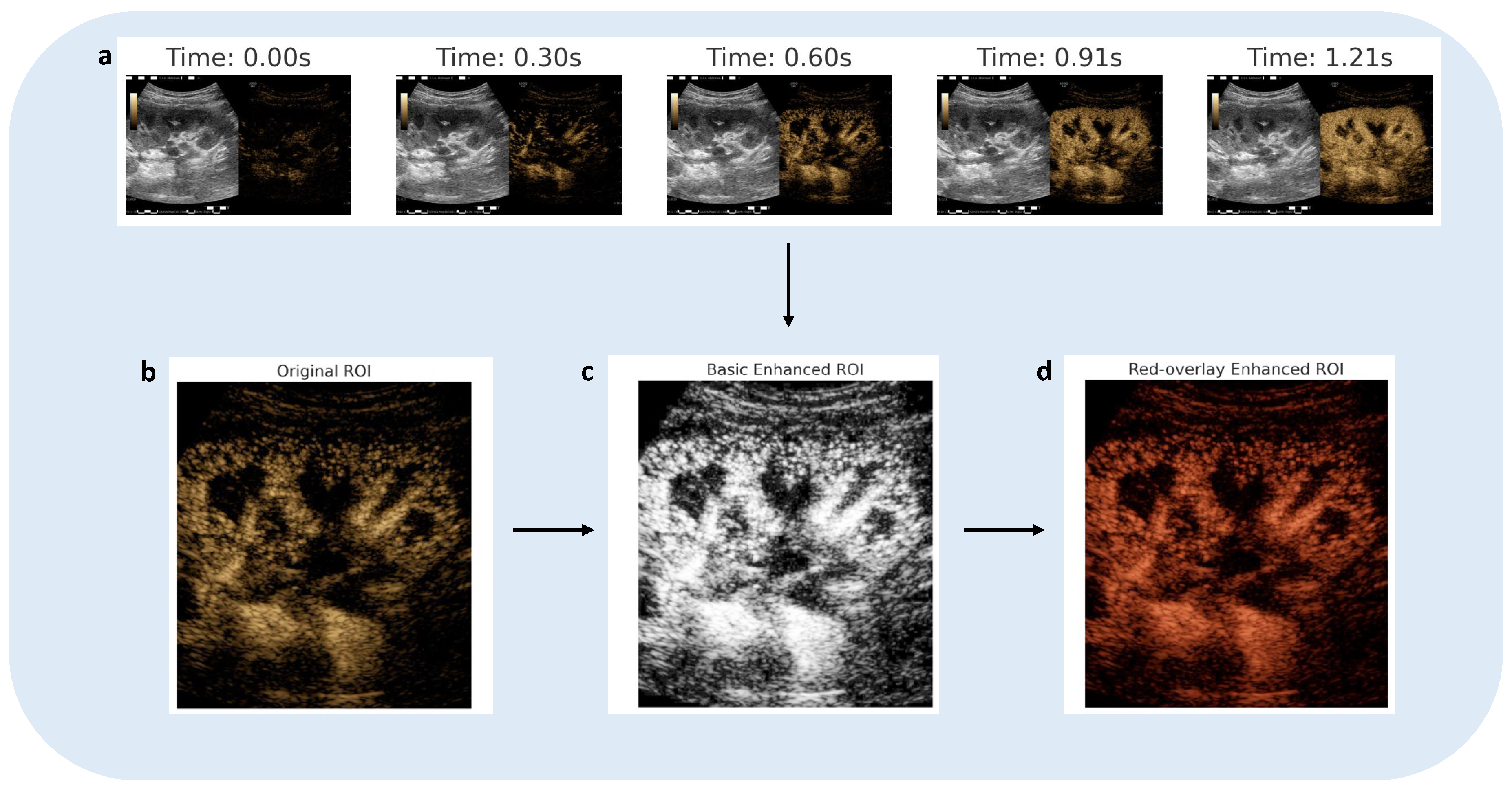 Preprints 138329 g003