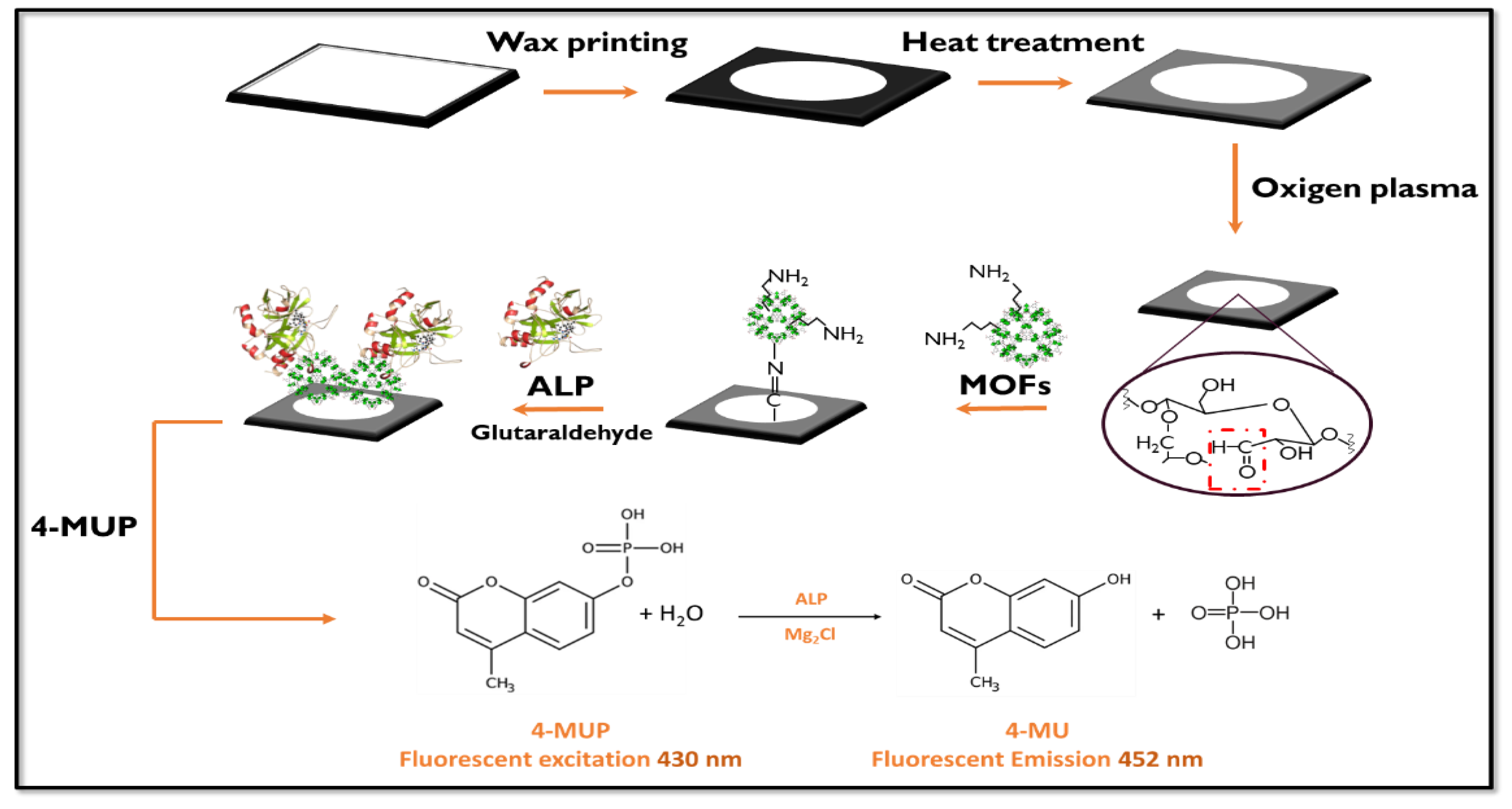 Preprints 116554 g001