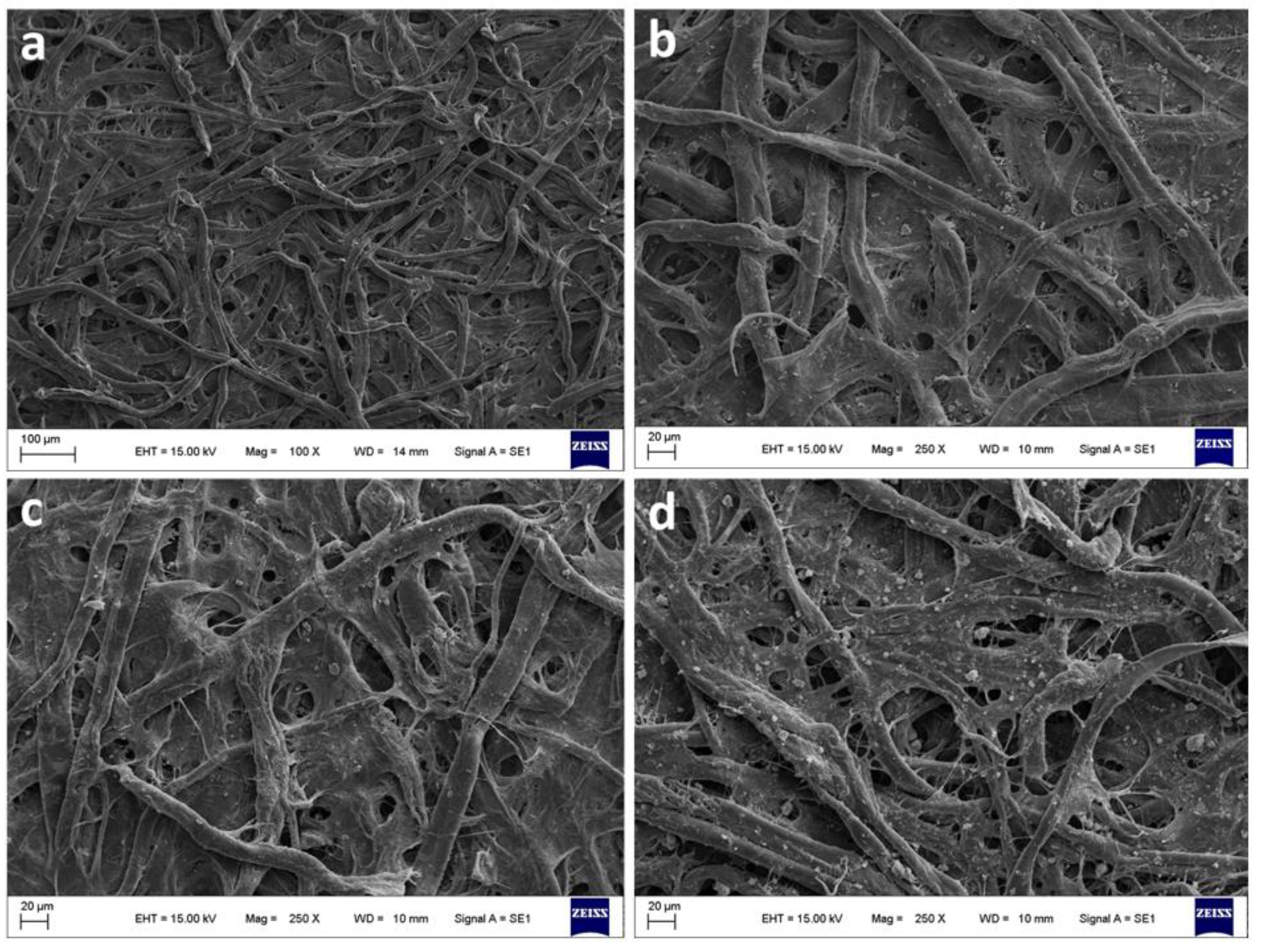 Preprints 116554 g004