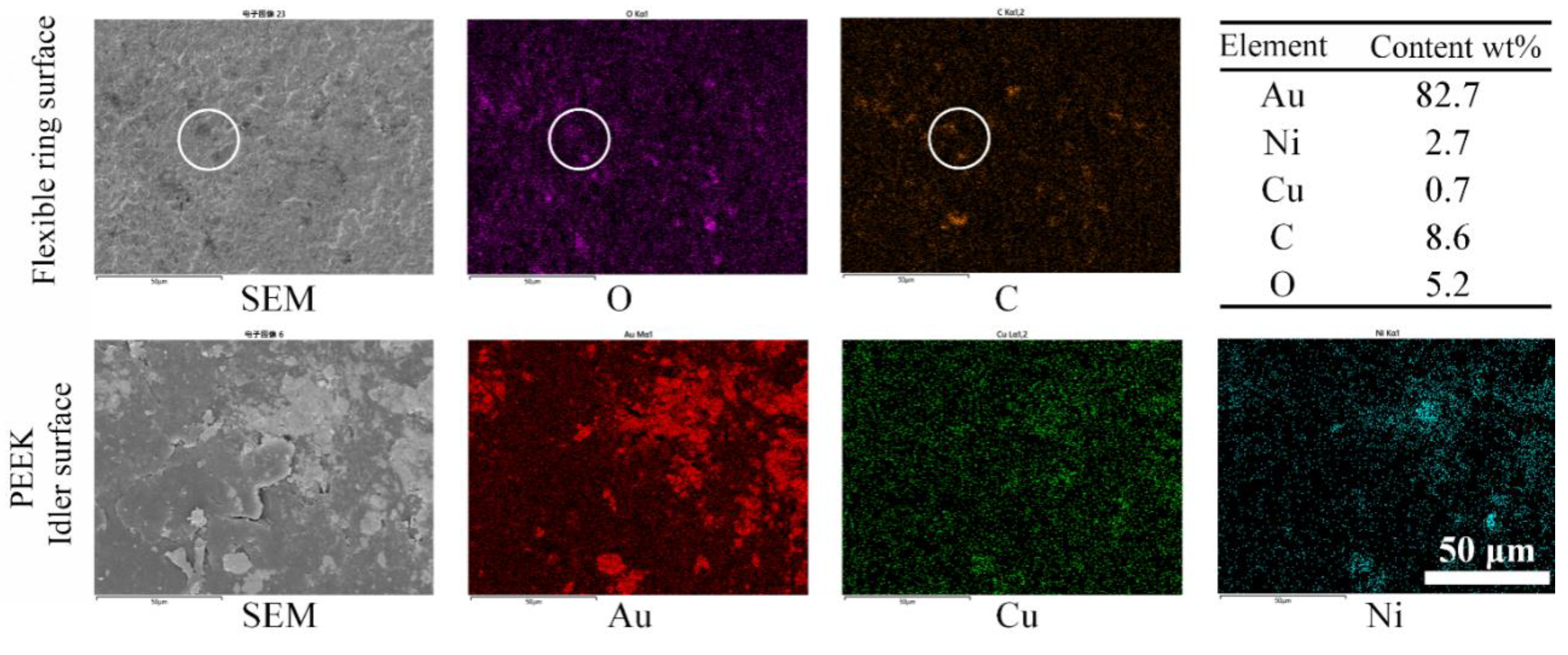 Preprints 119262 g009