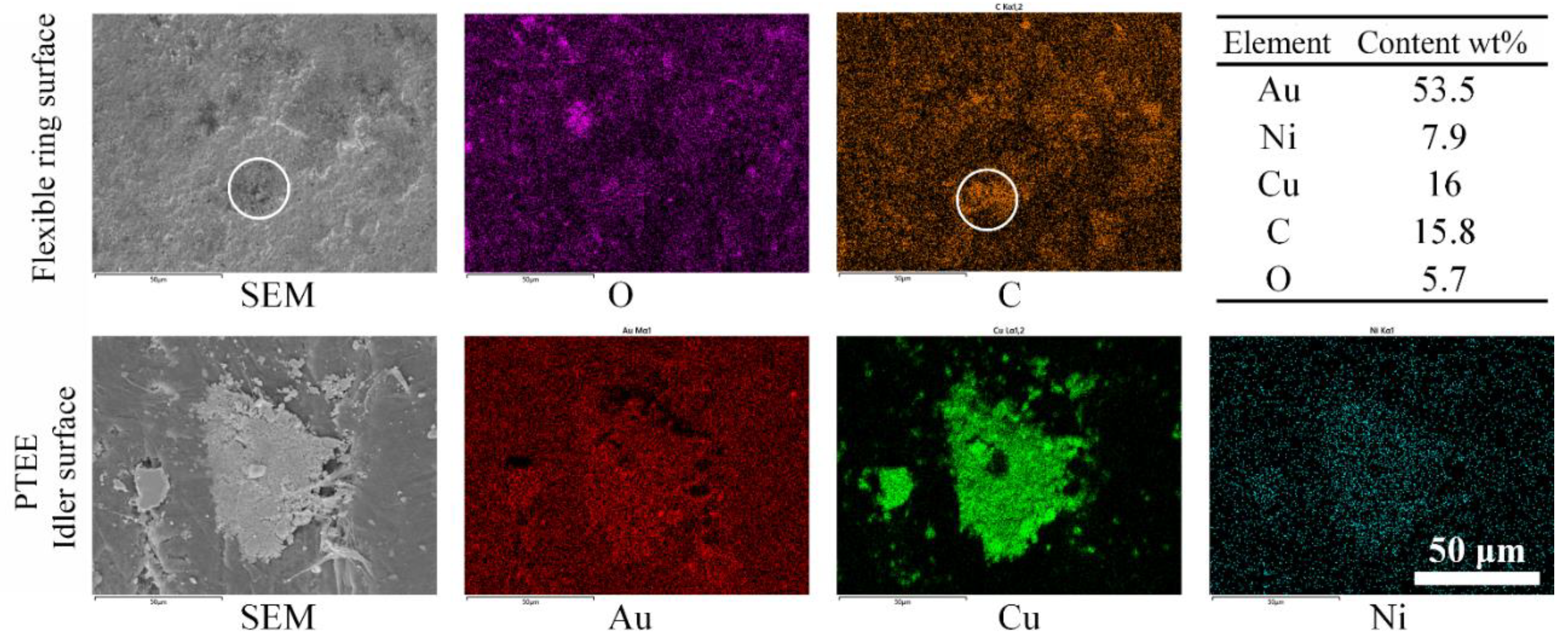 Preprints 119262 g010