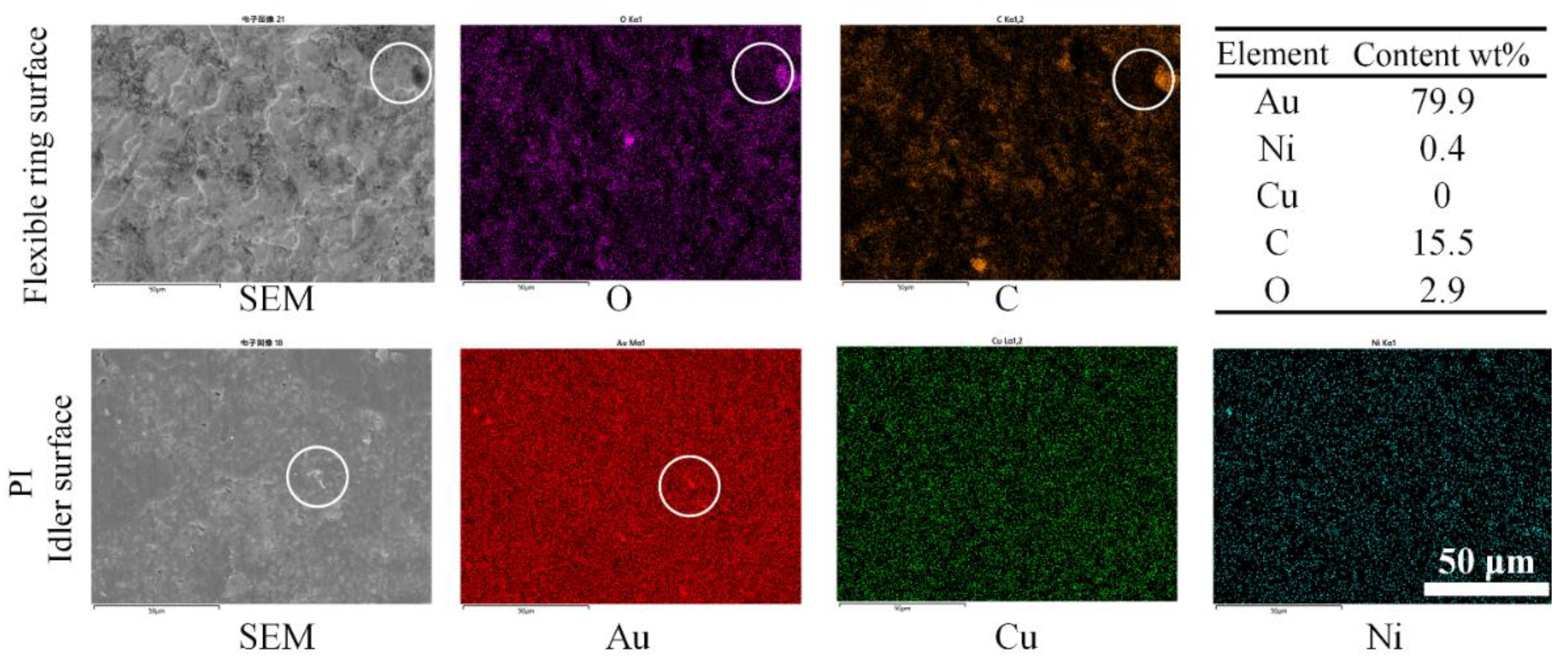 Preprints 119262 g011