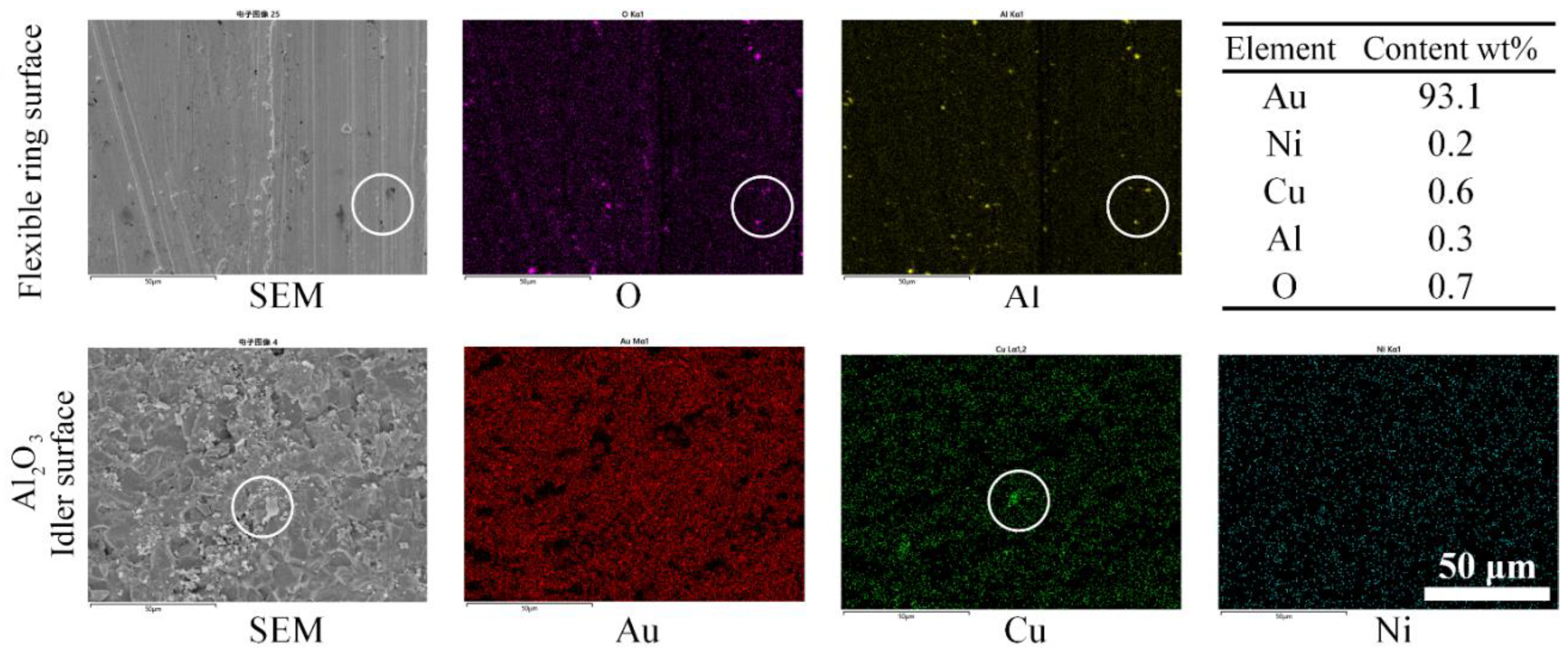 Preprints 119262 g012