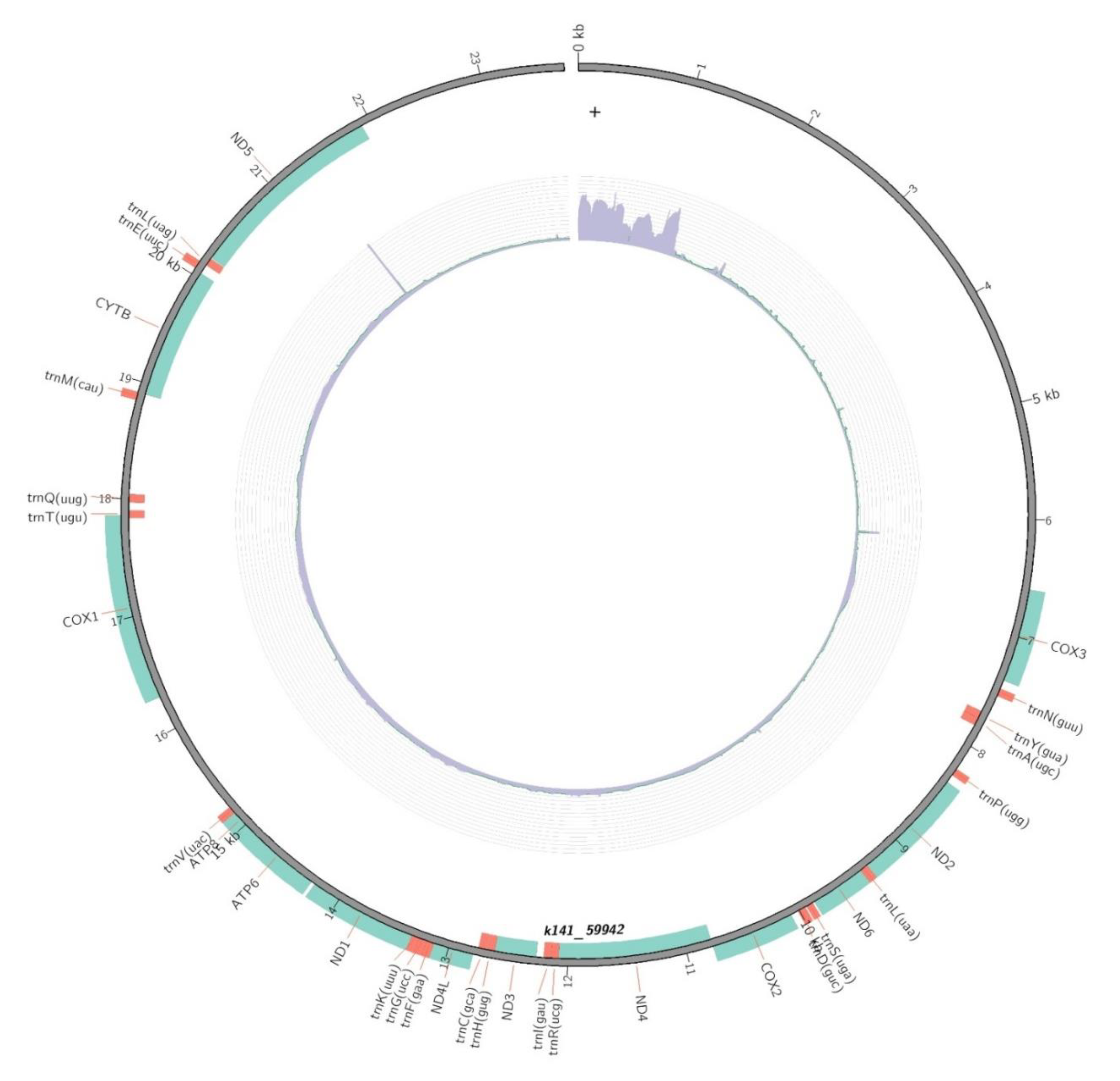 Preprints 82528 g001