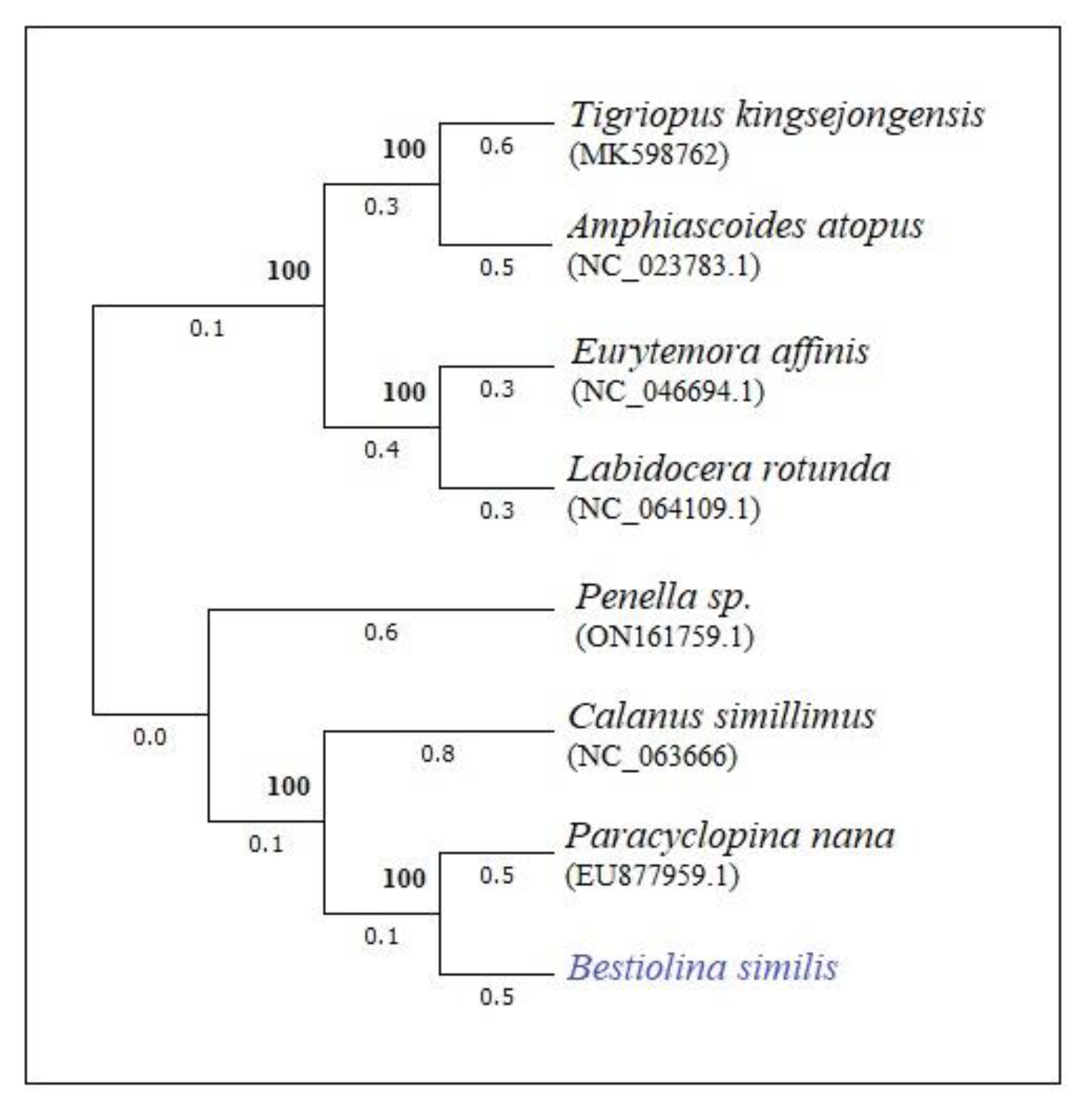 Preprints 82528 g002