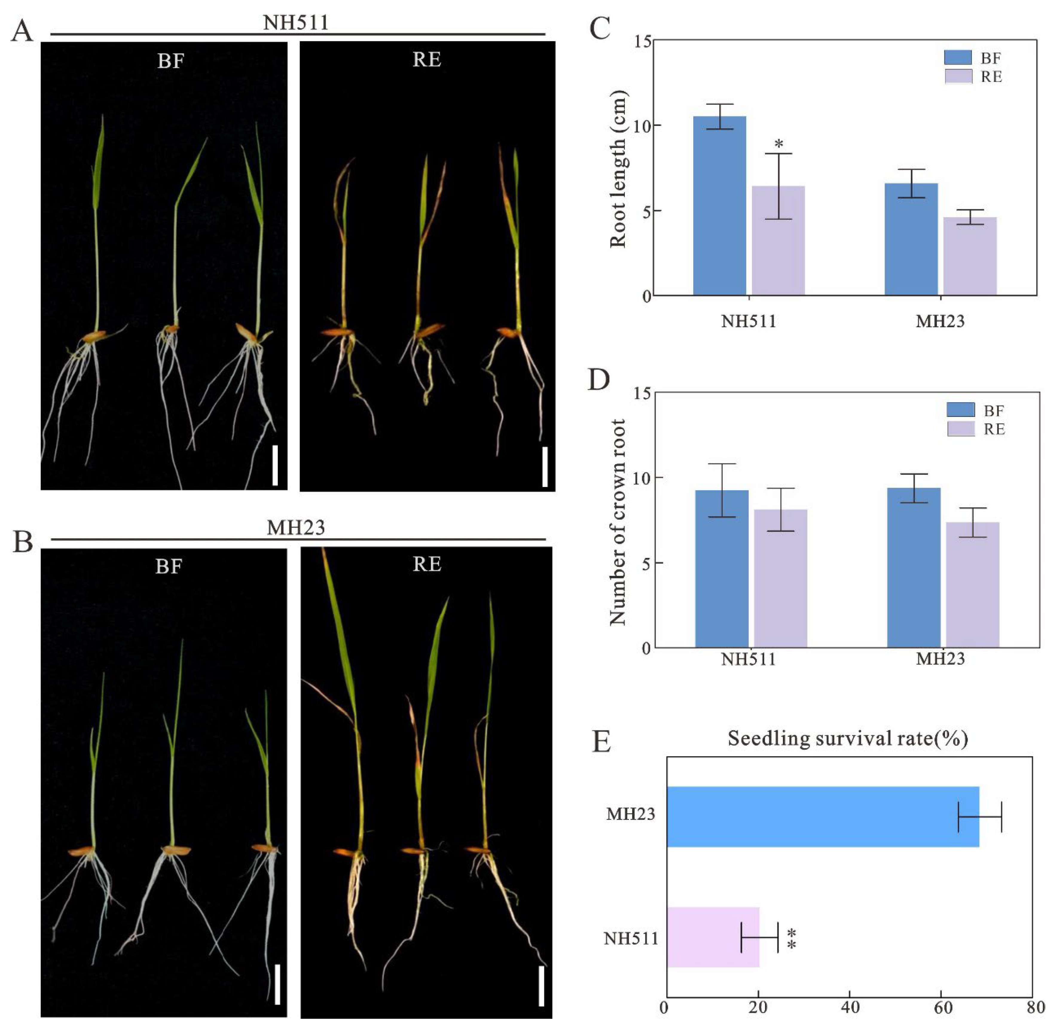 Preprints 73372 g002