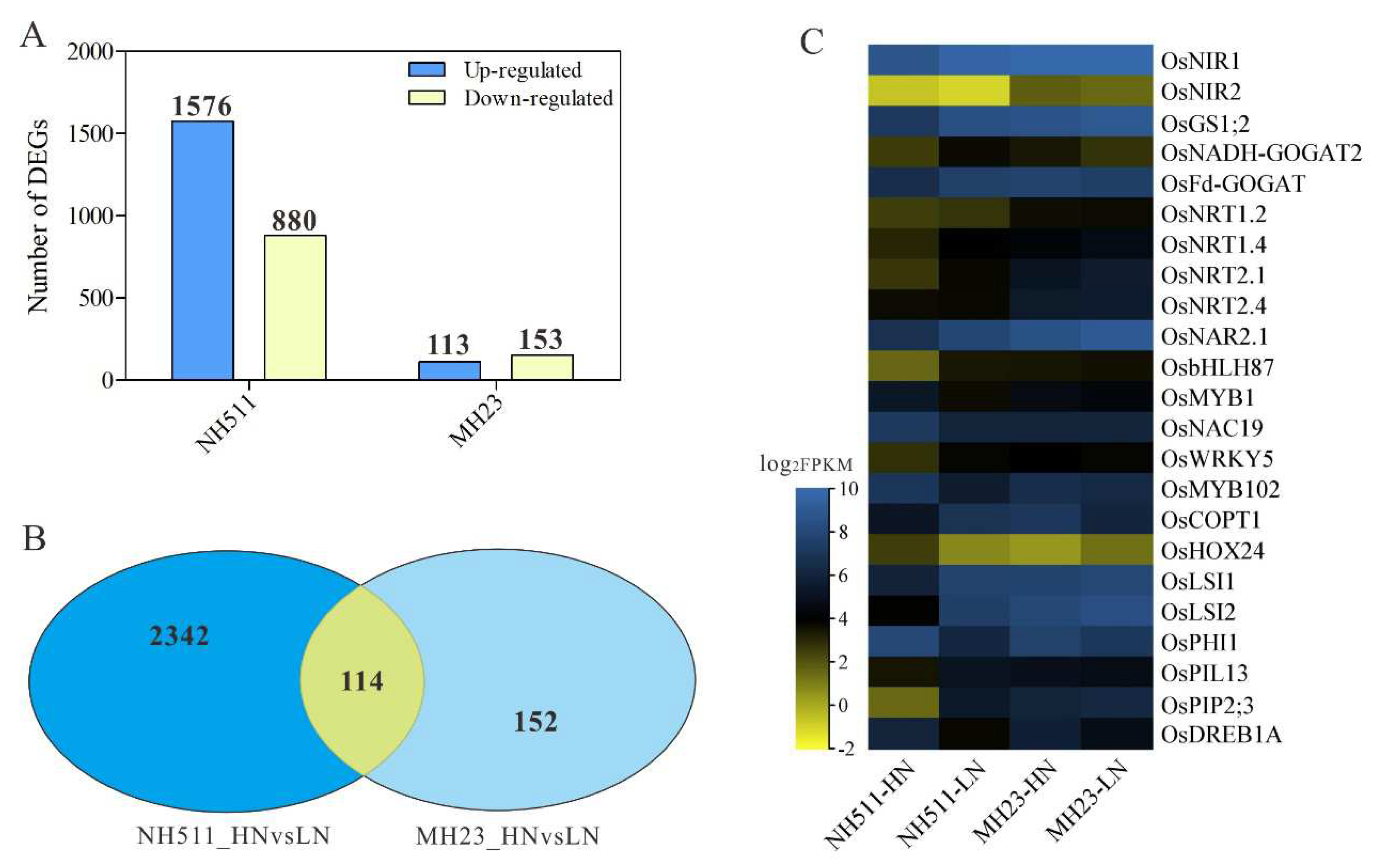 Preprints 73372 g006