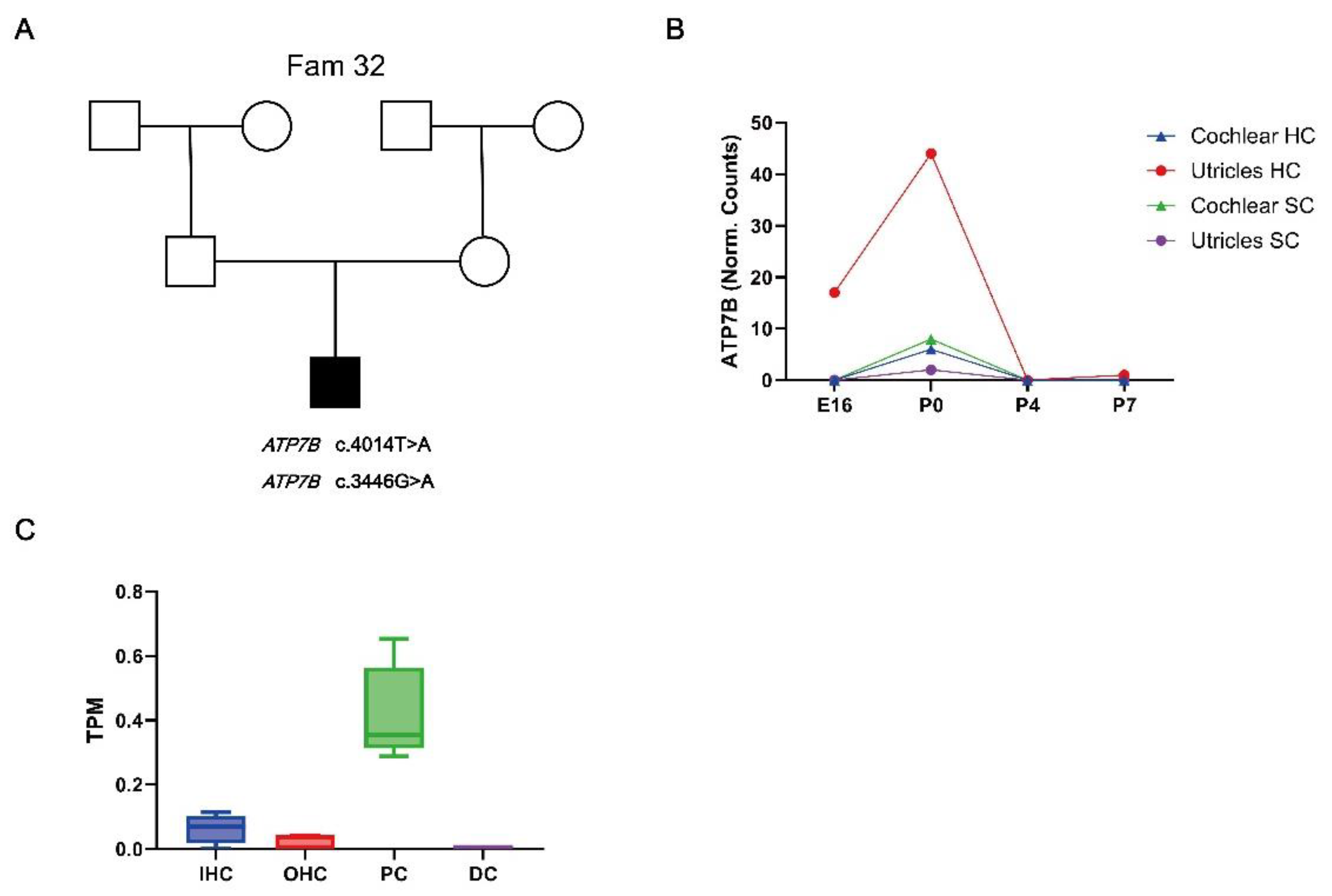 Preprints 137720 g004