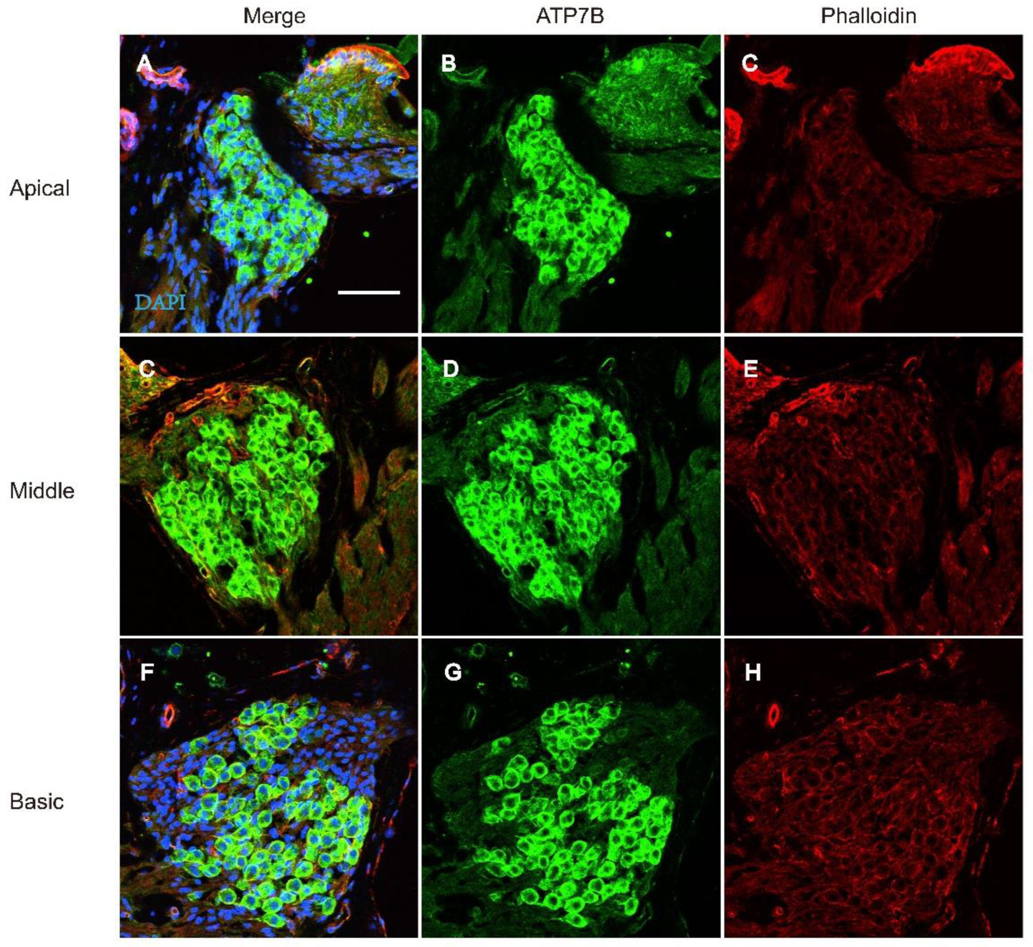 Preprints 137720 g006