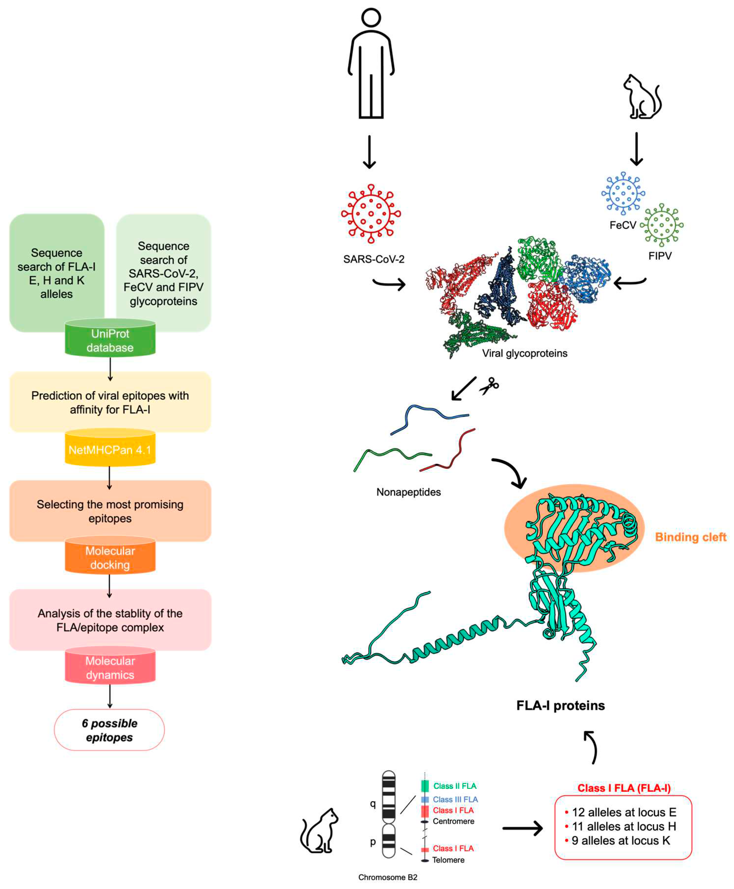 Preprints 97699 g001a